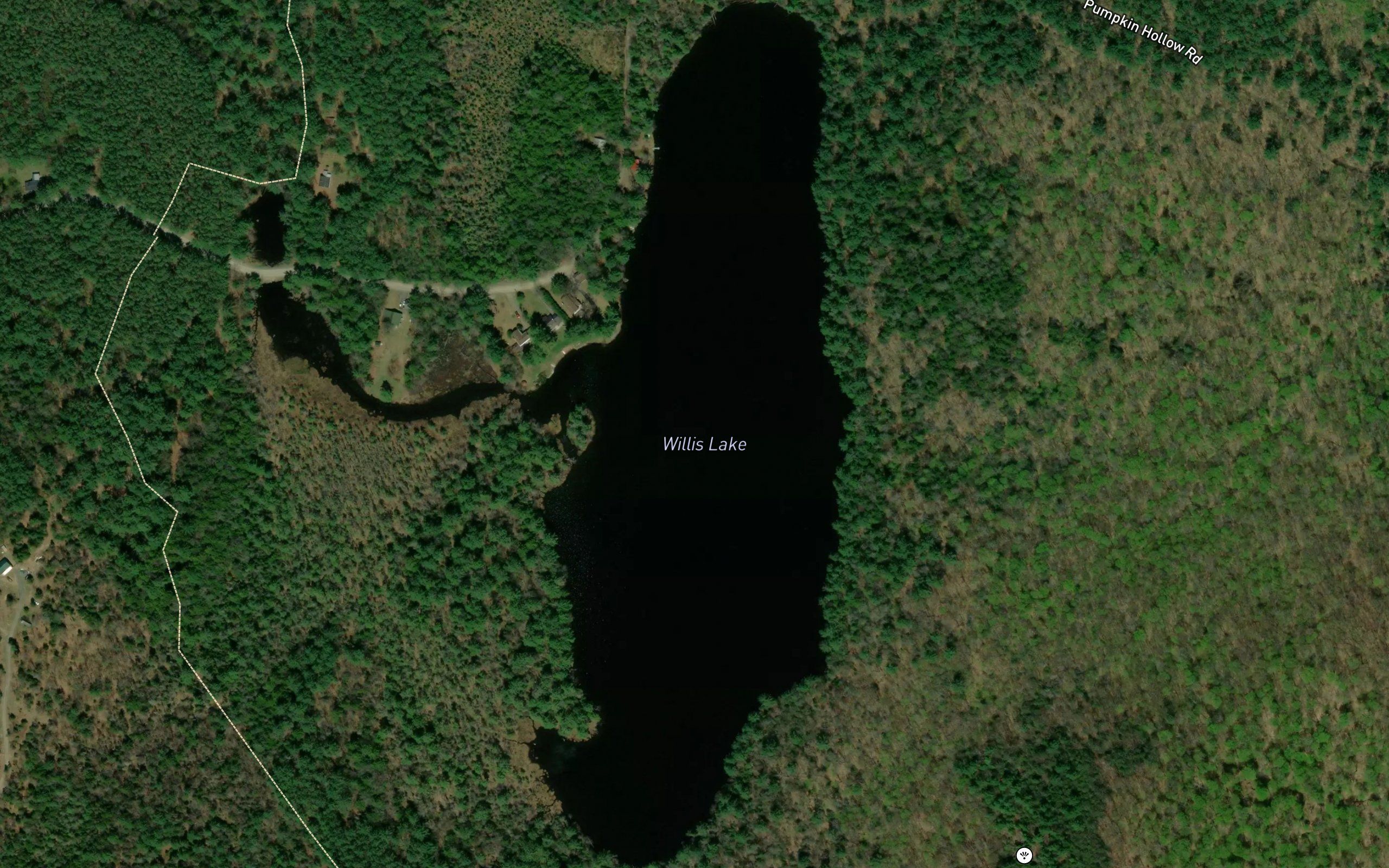 Willis Lake
