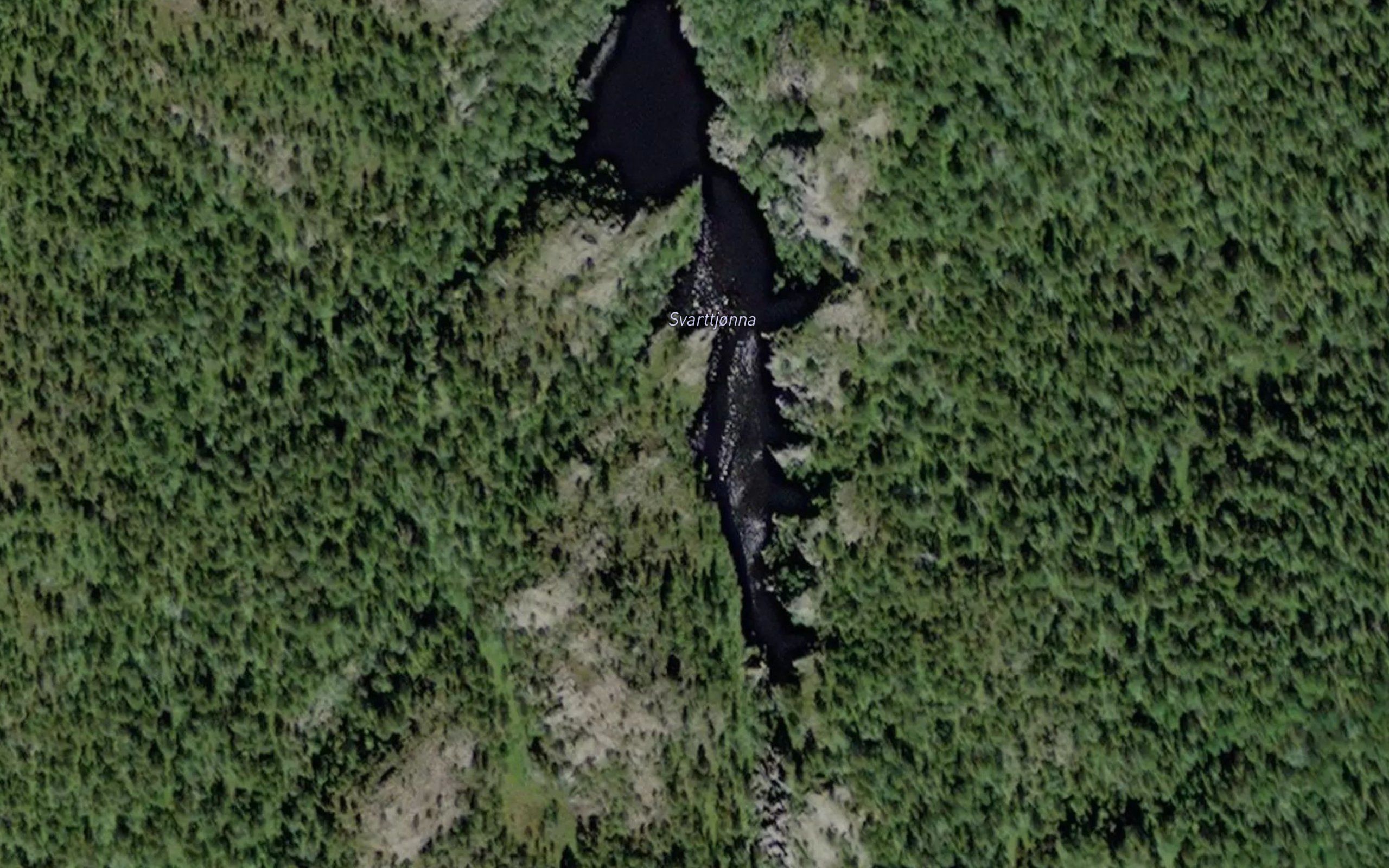 Svarttjorna