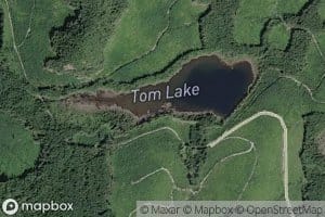 Tom Lake