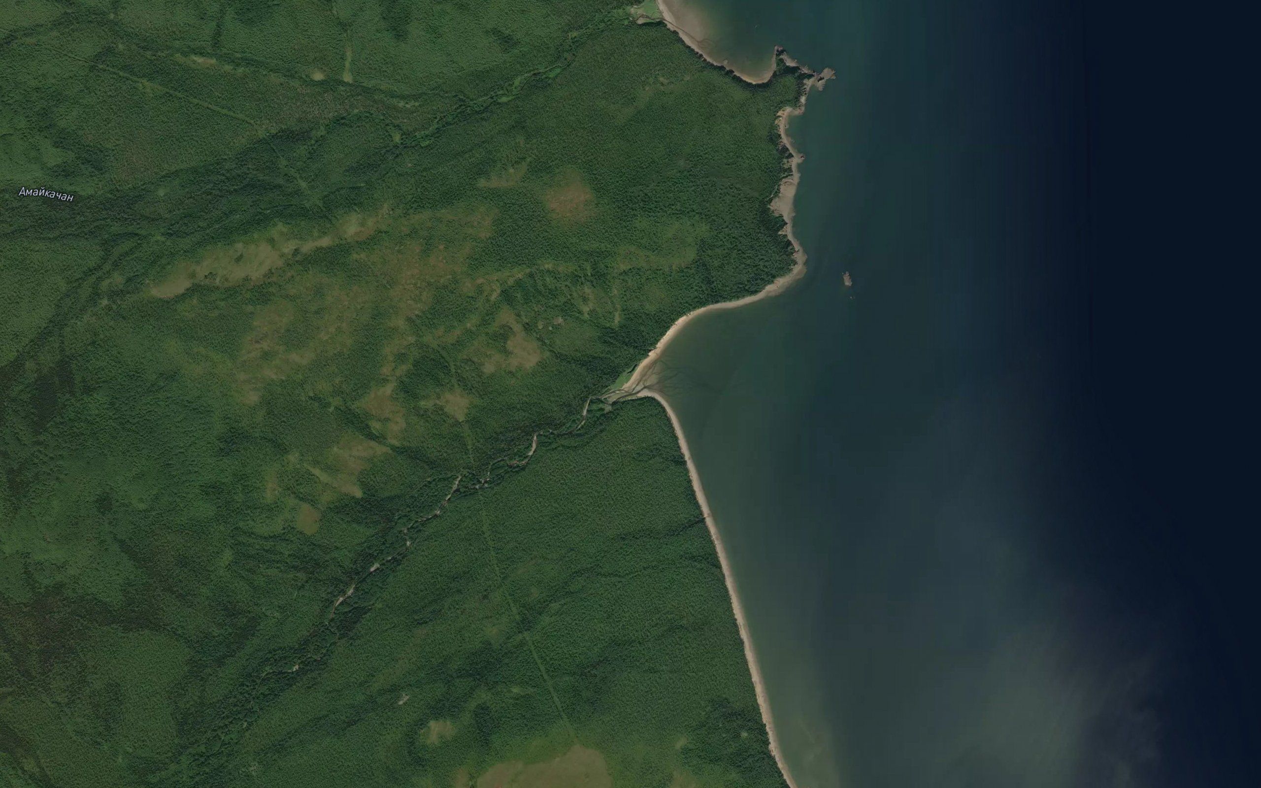 Amuykan