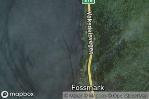 Hjortaviki