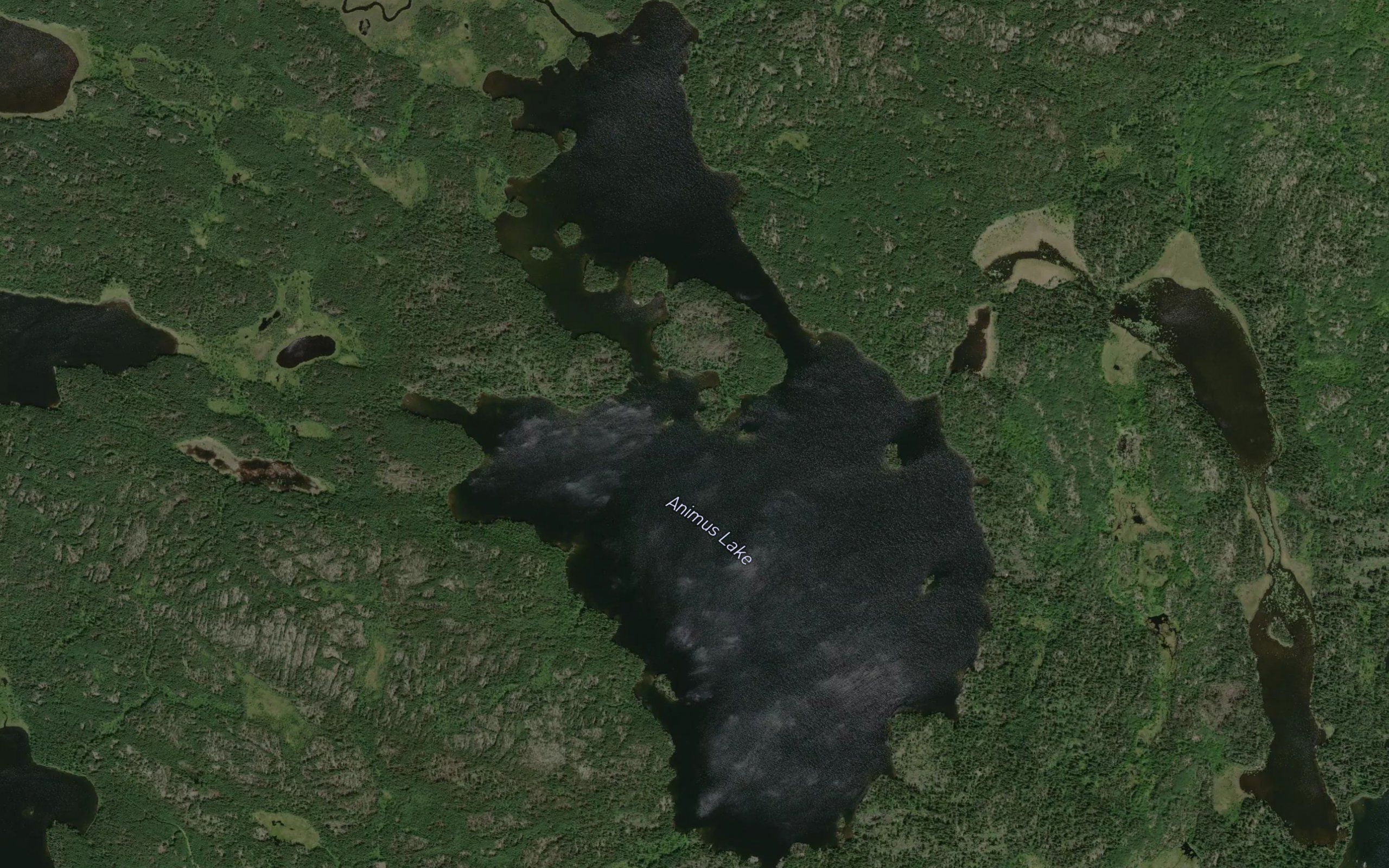 Animus Lake