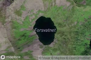 Forsvatnet