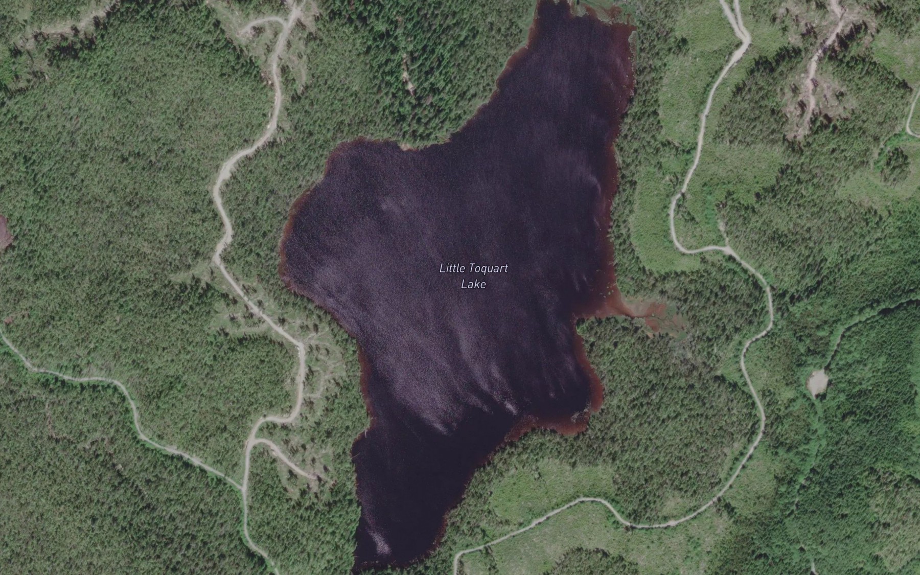 Satellite map of the Little Toquart Lake