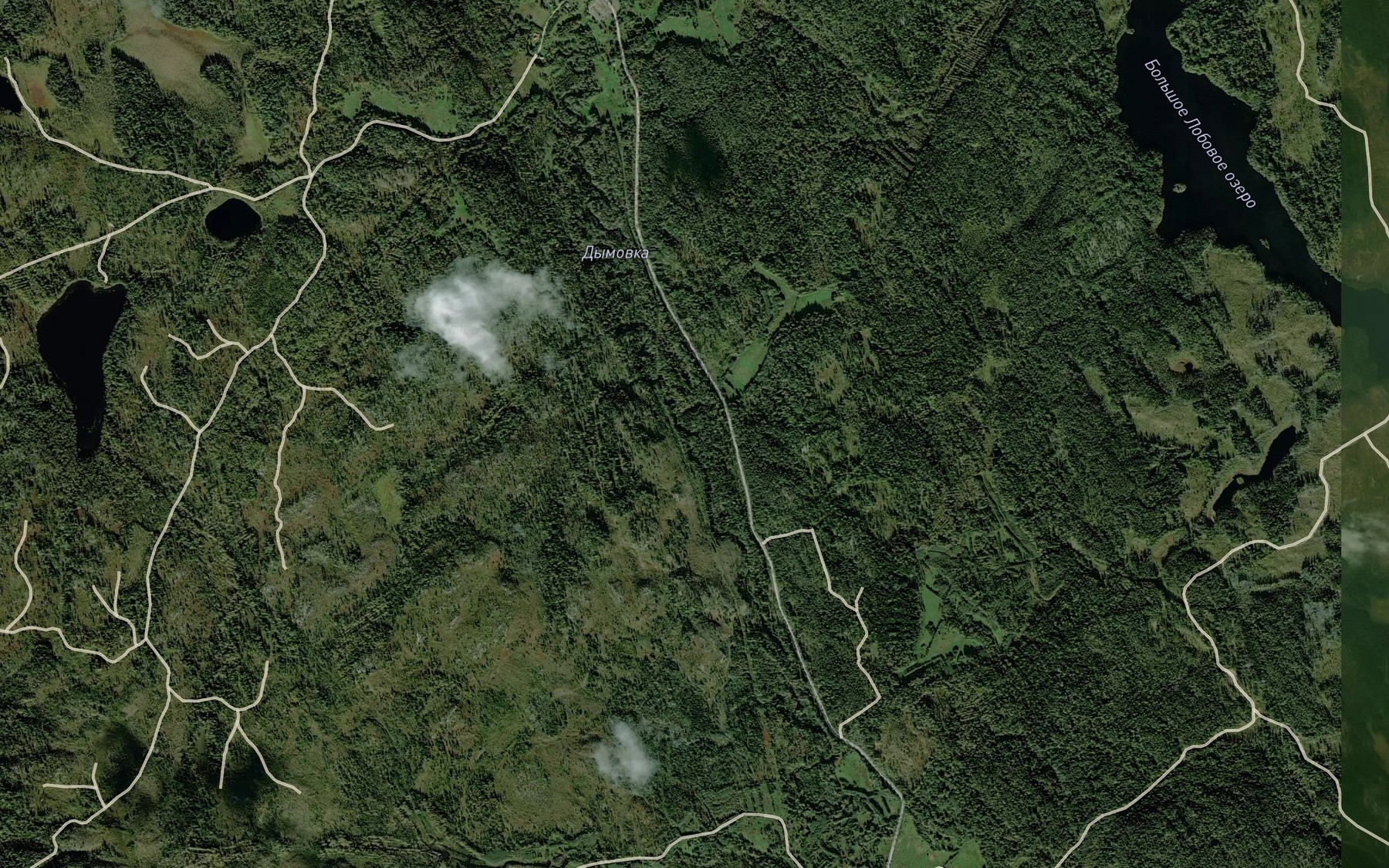 Satellite map of the Dymovka