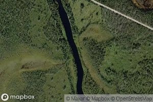 Alimmainen Silmasuvanto