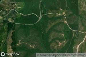 Muscadine Creek