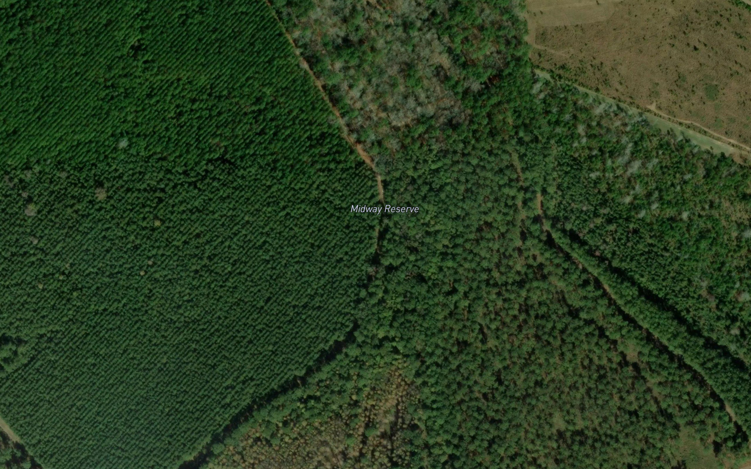 Midway Reserve