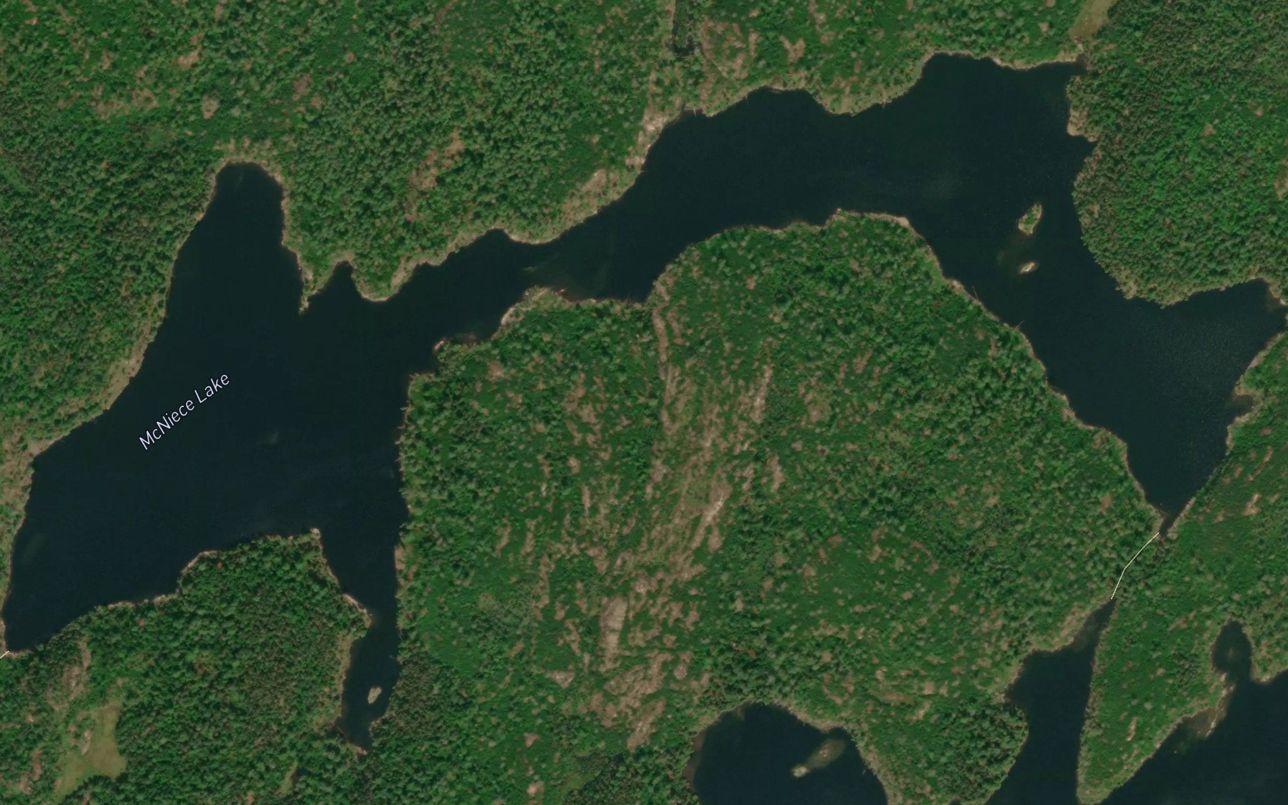 McNiece Lake