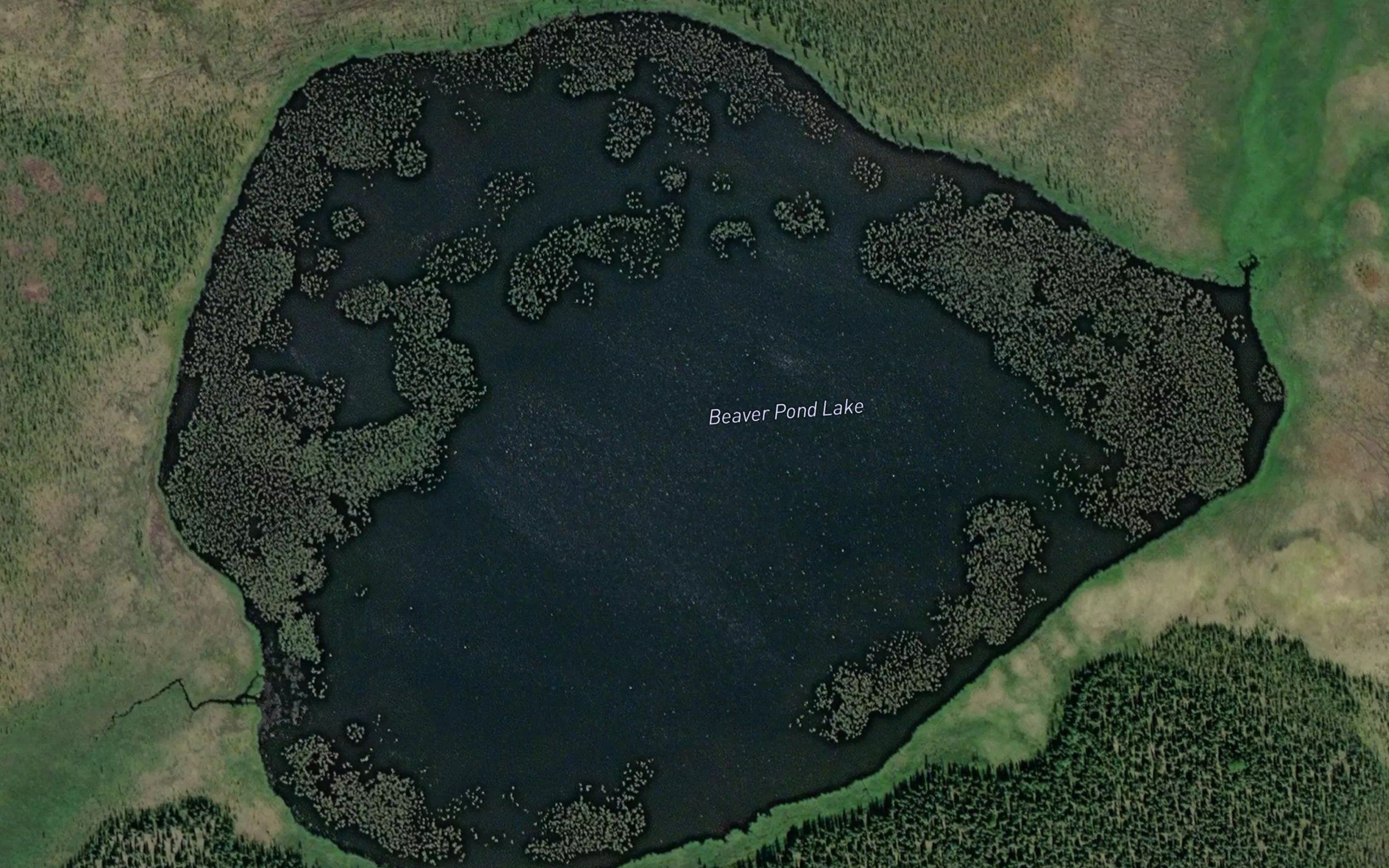 Beaver Pond Lake