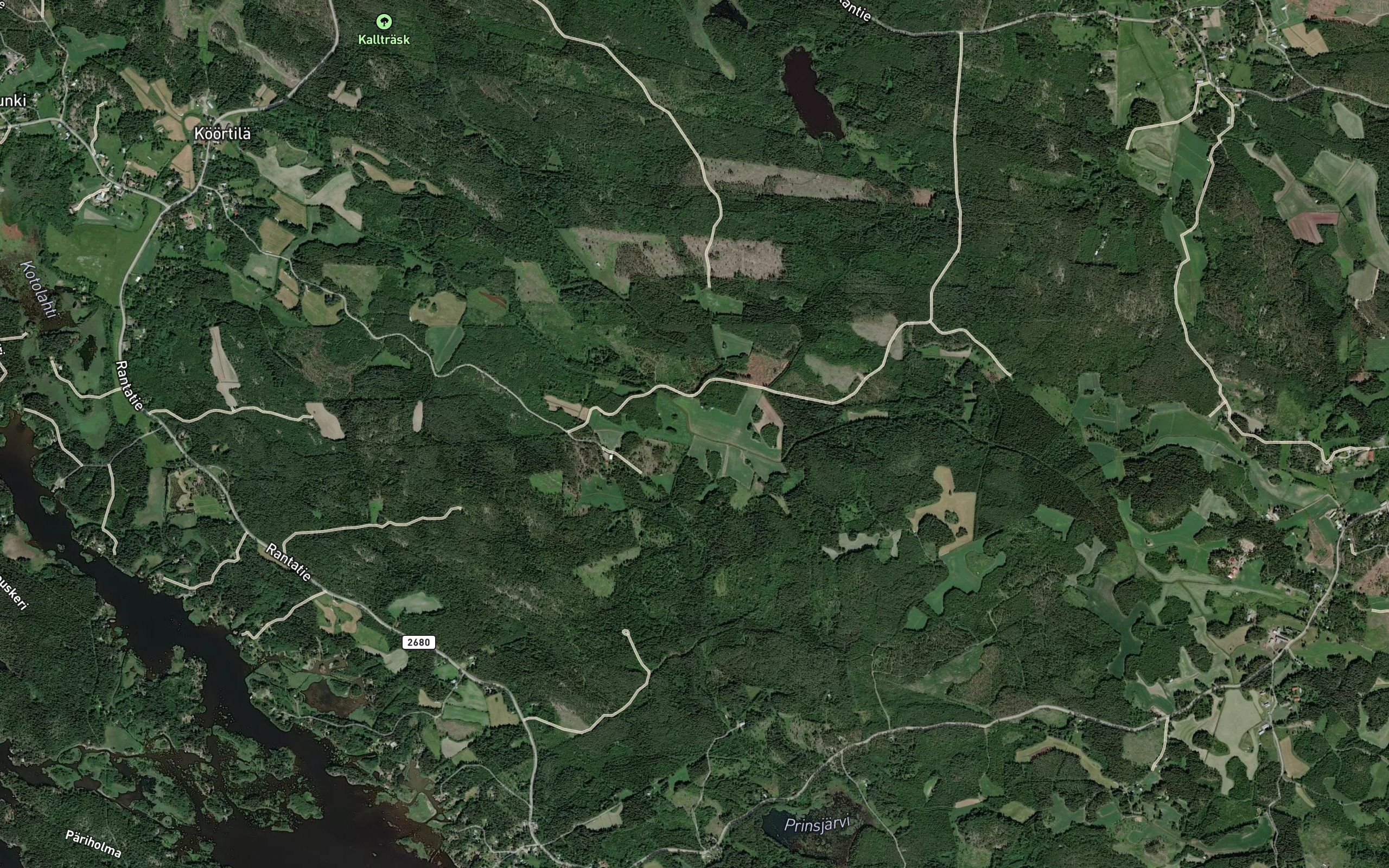 Pajukorvenoja