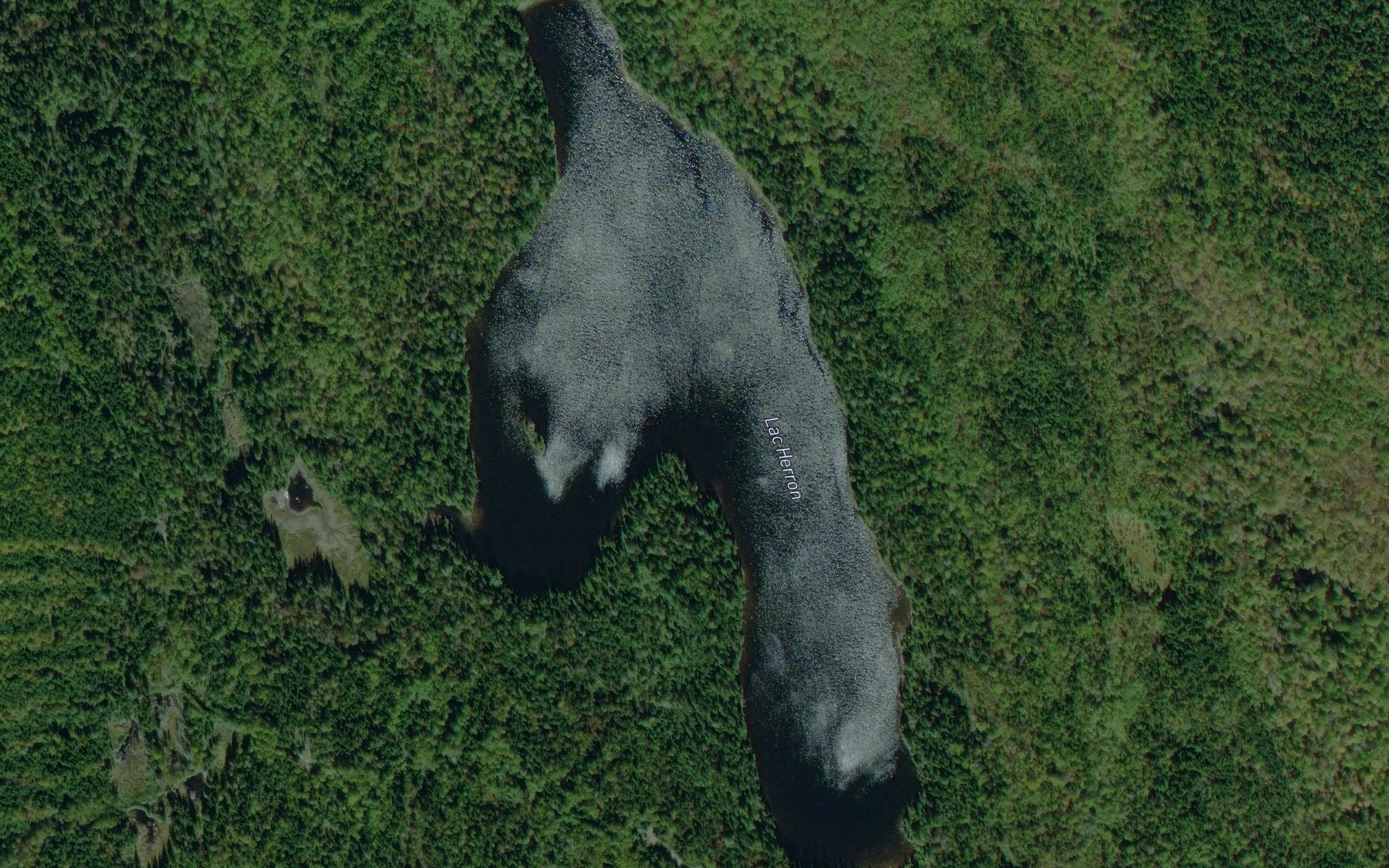 Satellite map of the Lac Herron