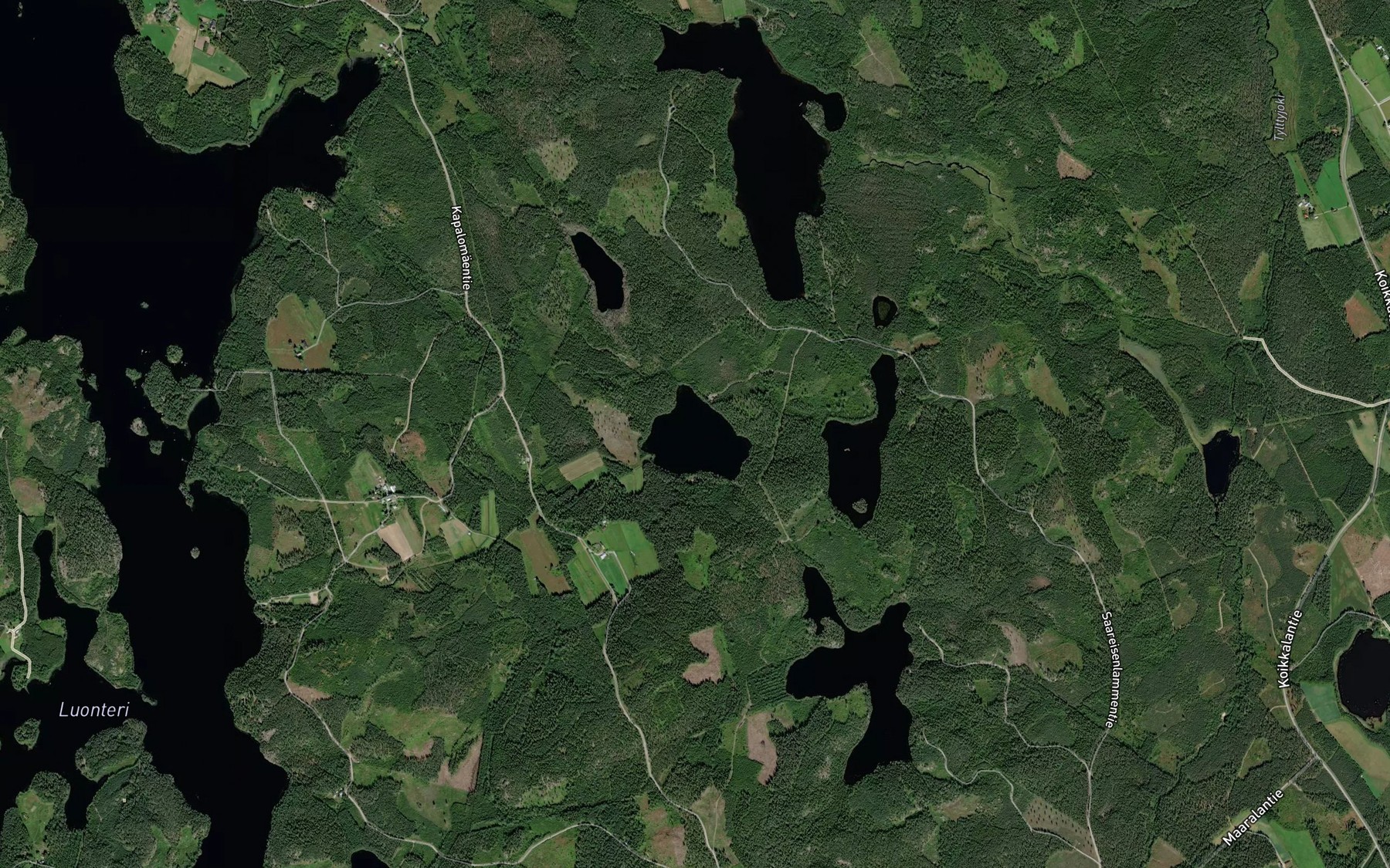Satellite map of the Syvalampi