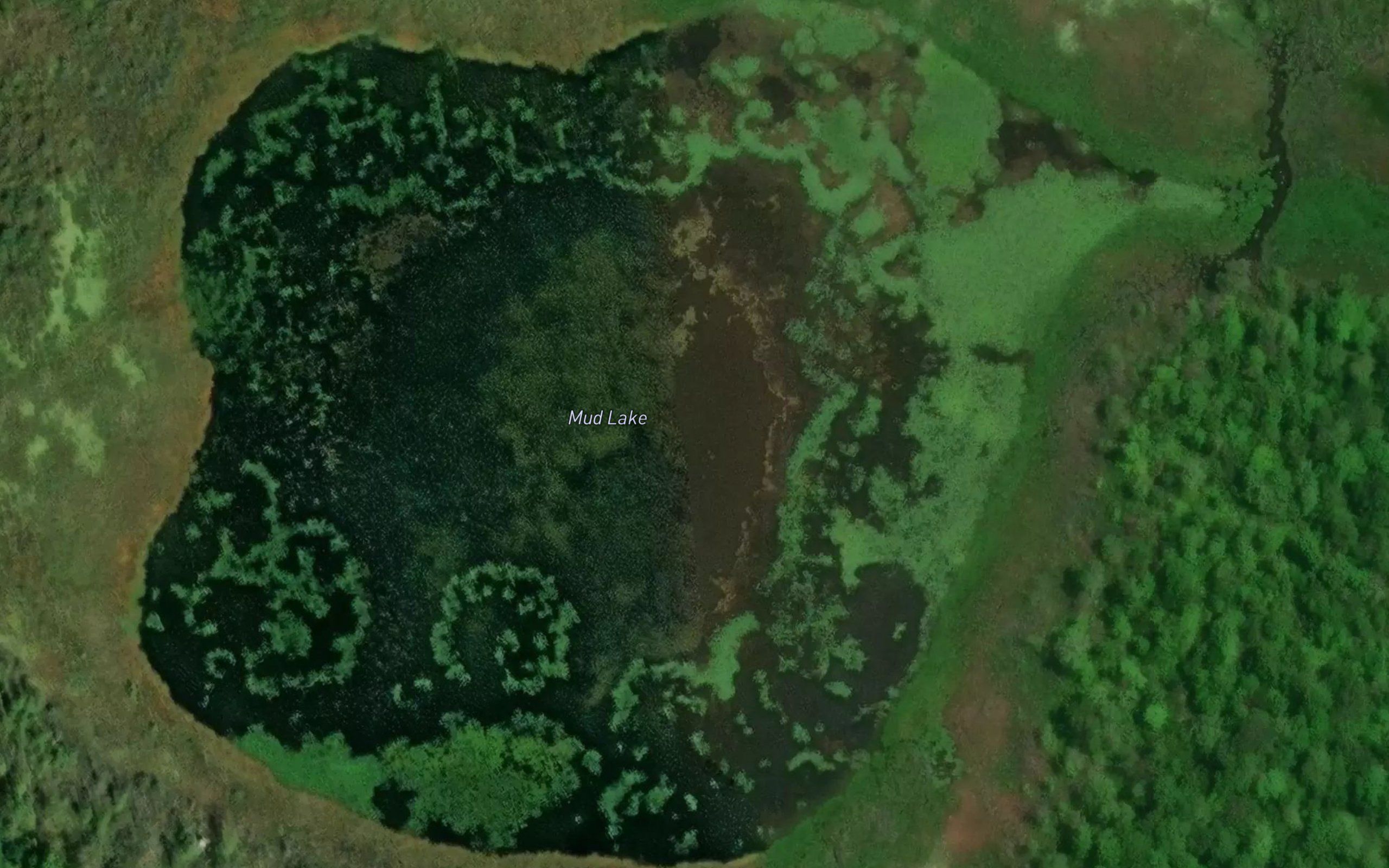 Mud Lake