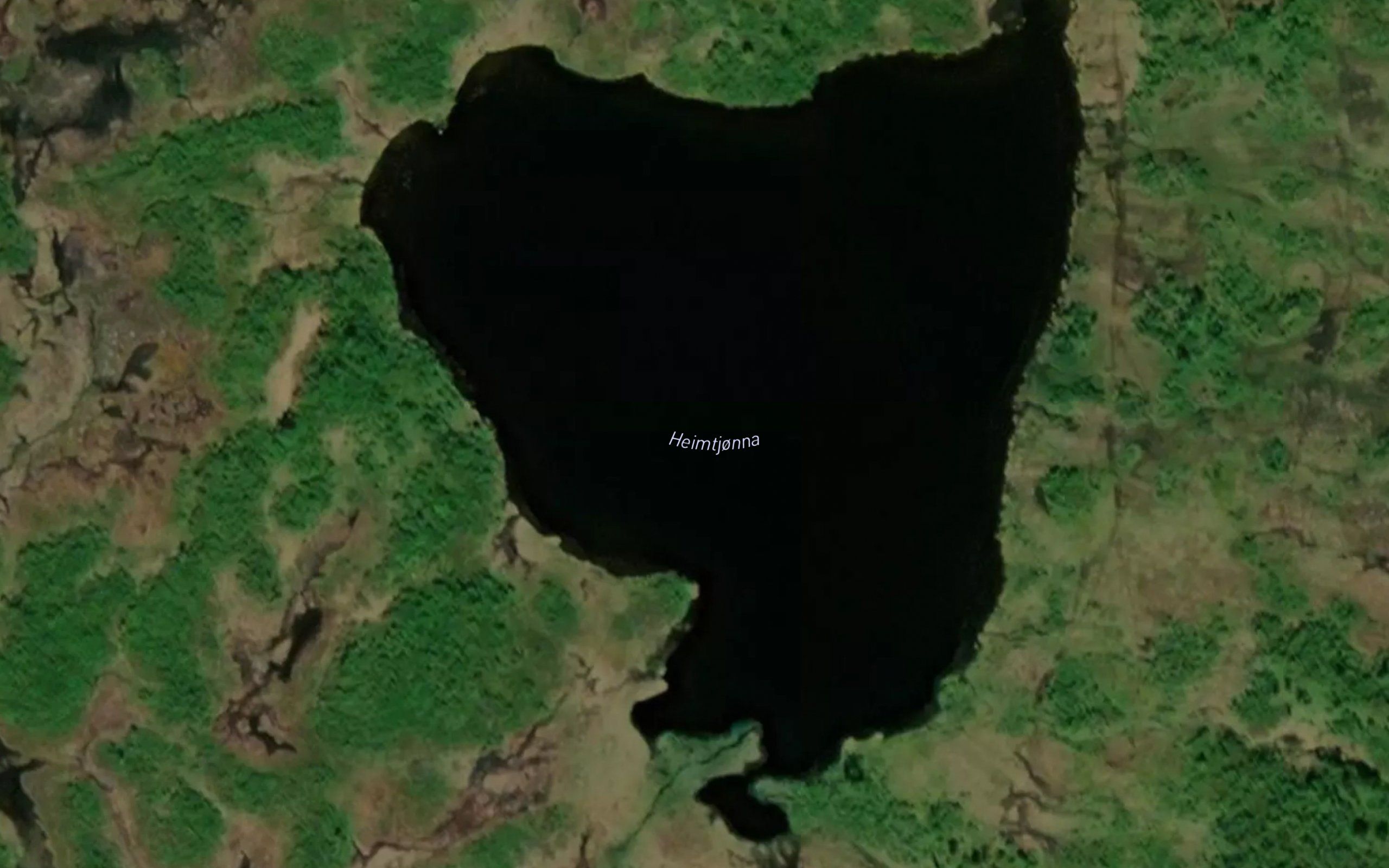 Heimtjorna
