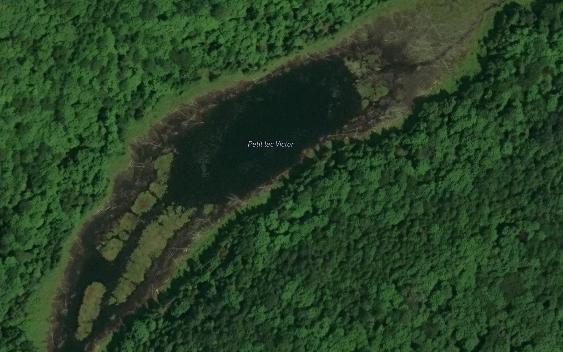 Satellite map of the Petit lac Victor