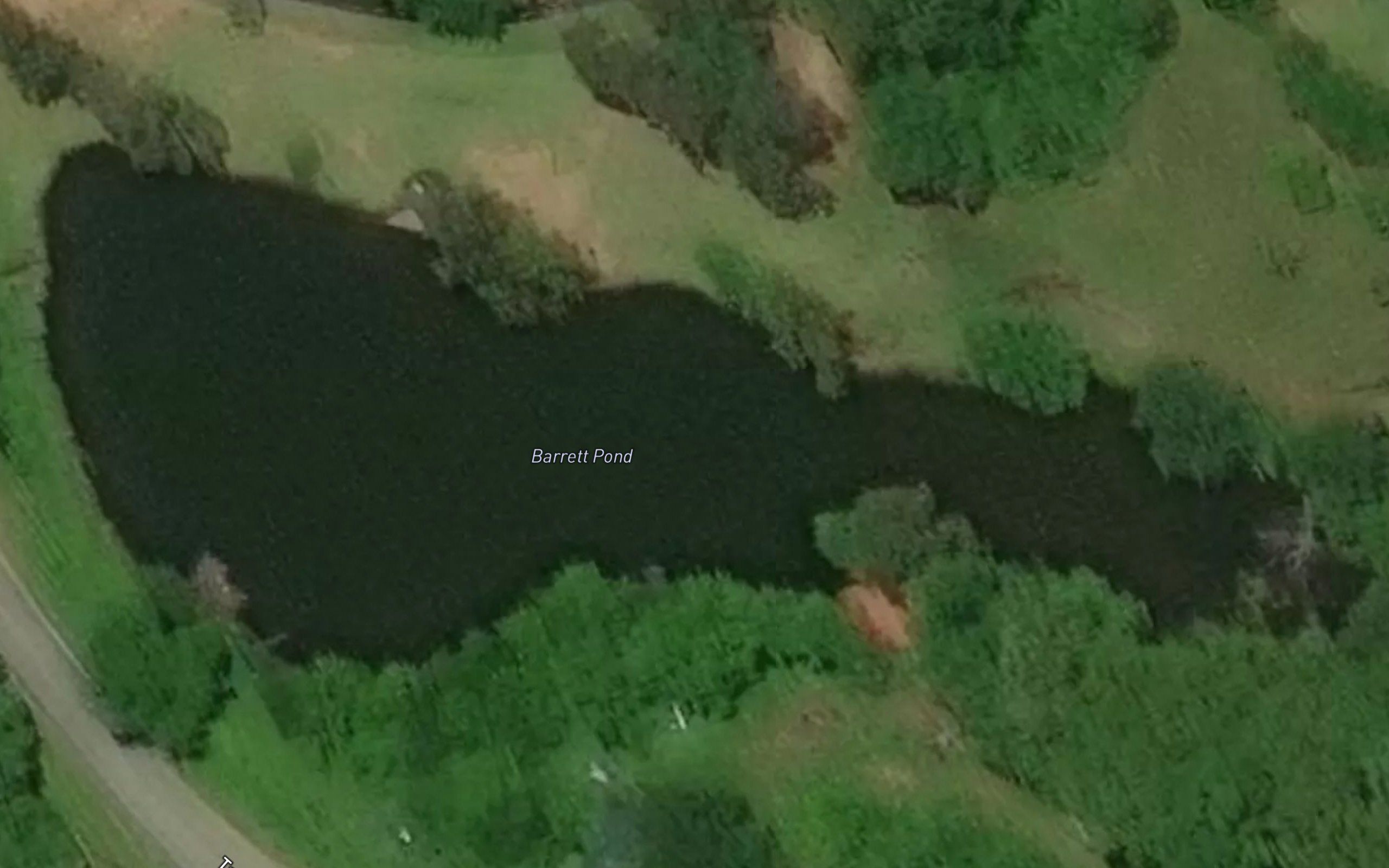 Barrett Pond