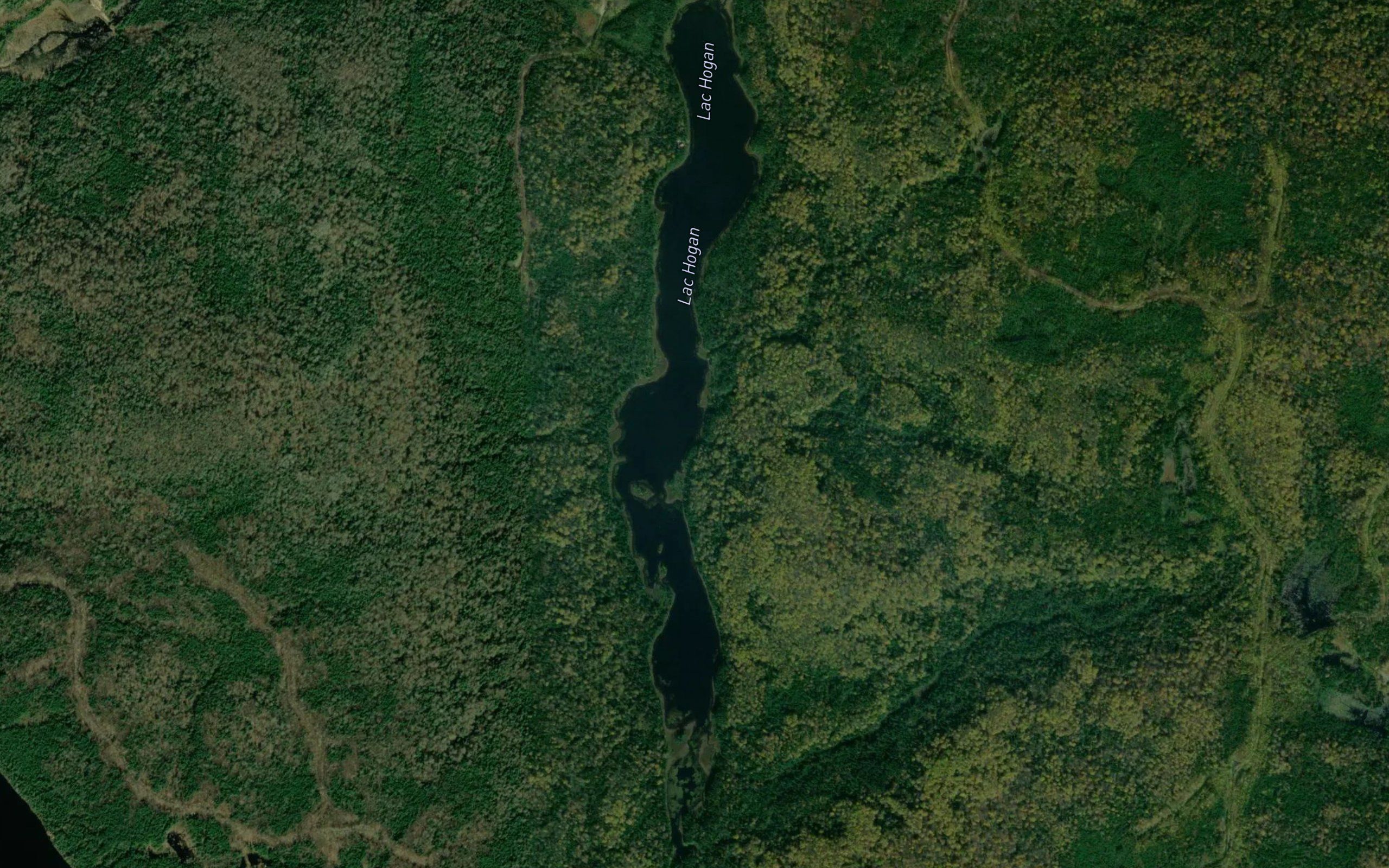 Lac Hogan