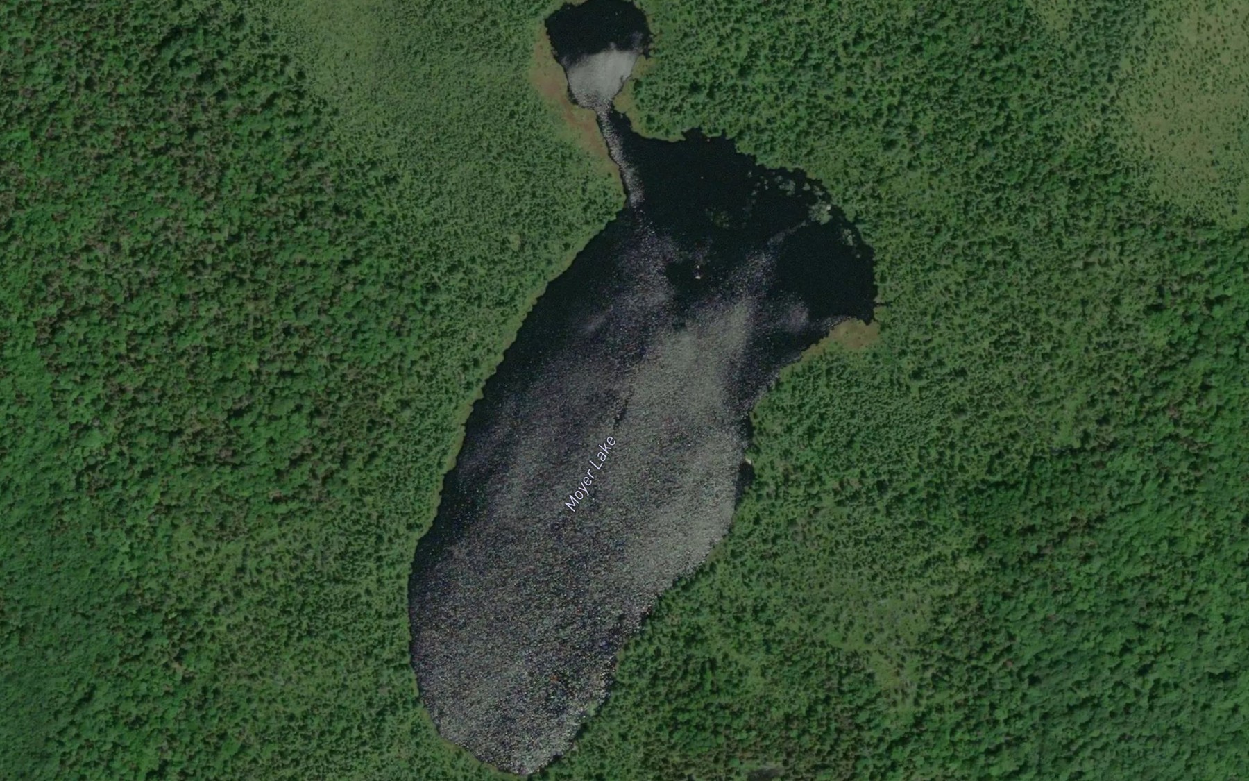 Satellite map of the Moyer Lake