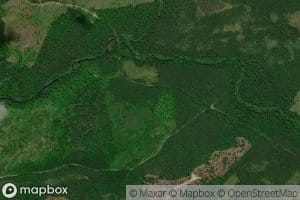 North Branch Black Brook