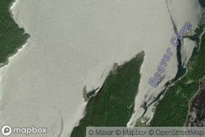 Beaver Cove