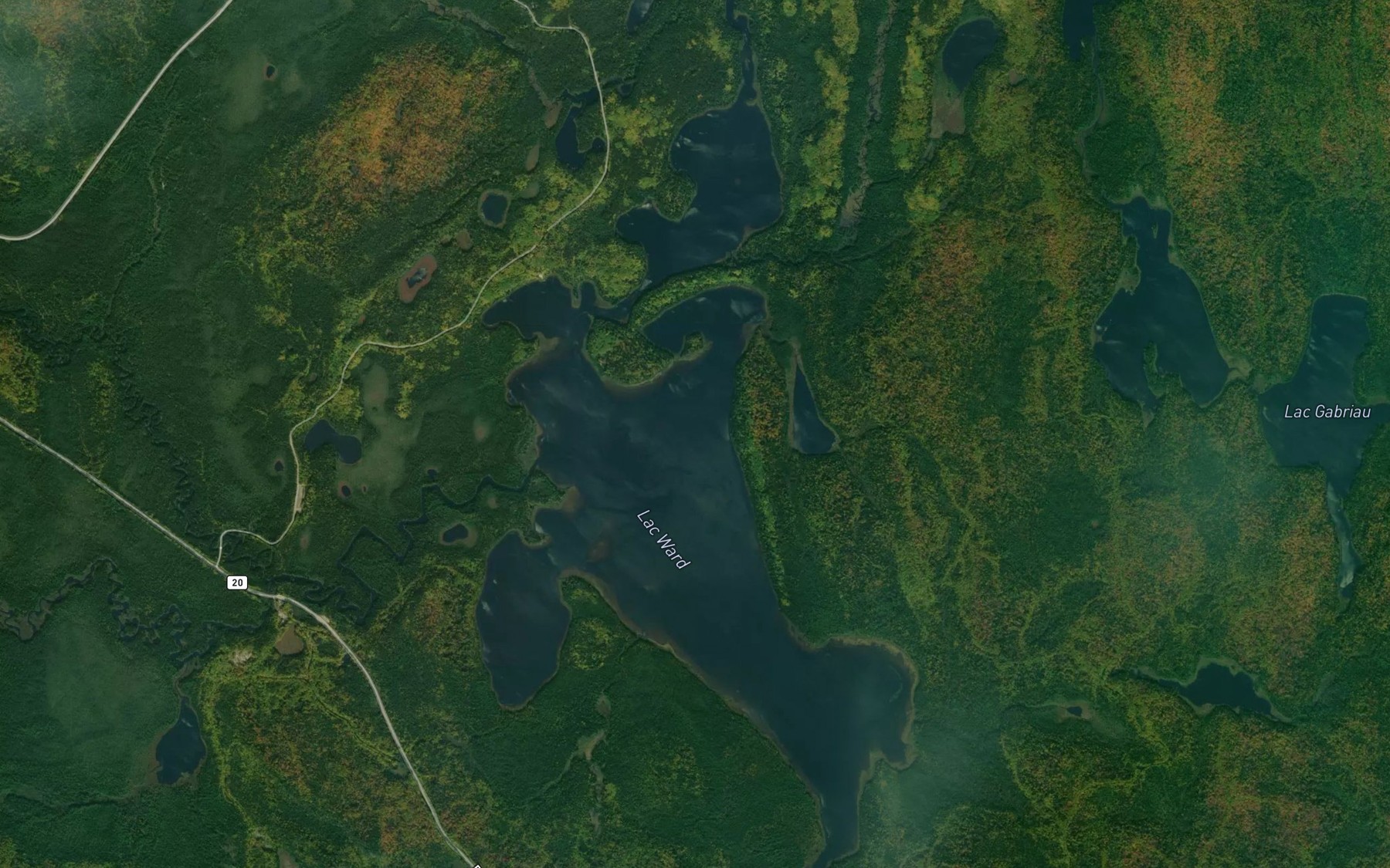 Satellite map of the Lac Ward