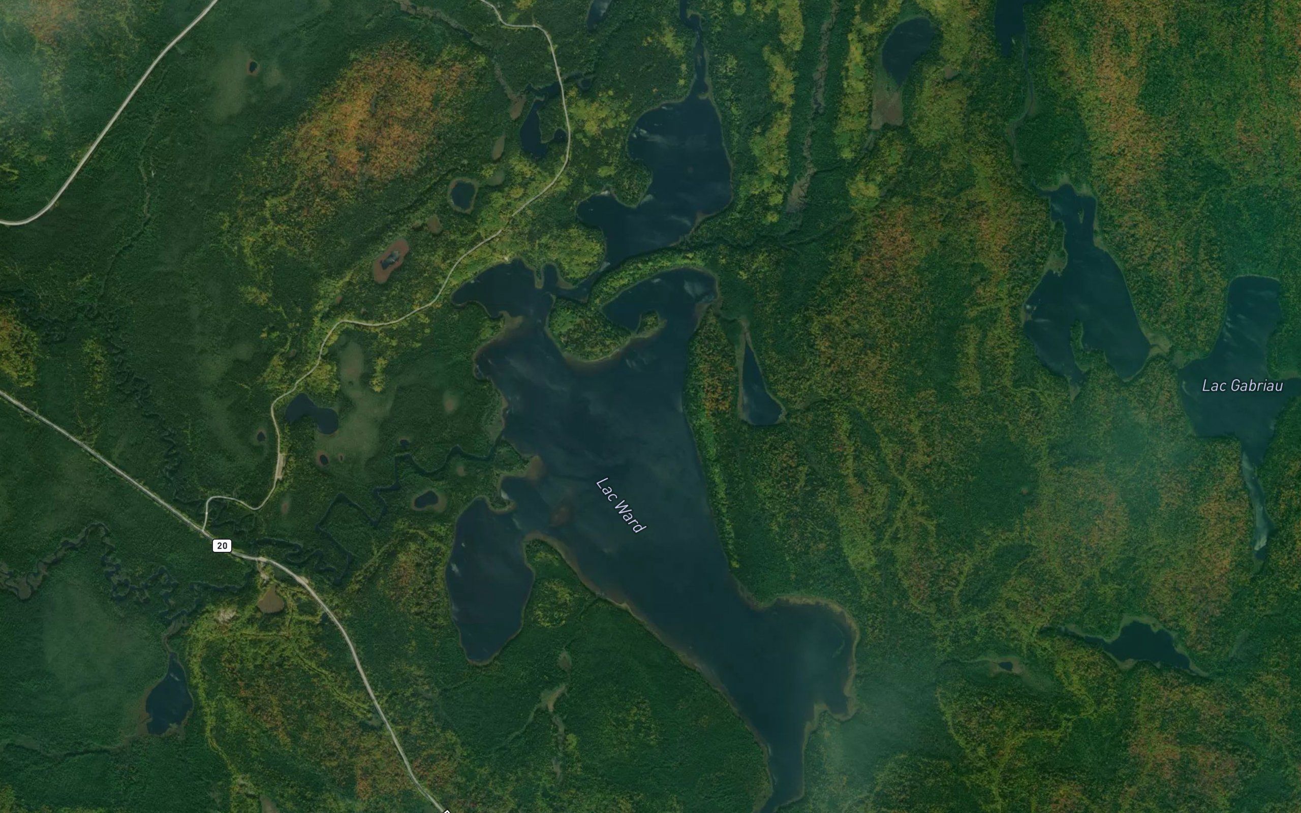 Lac Ward