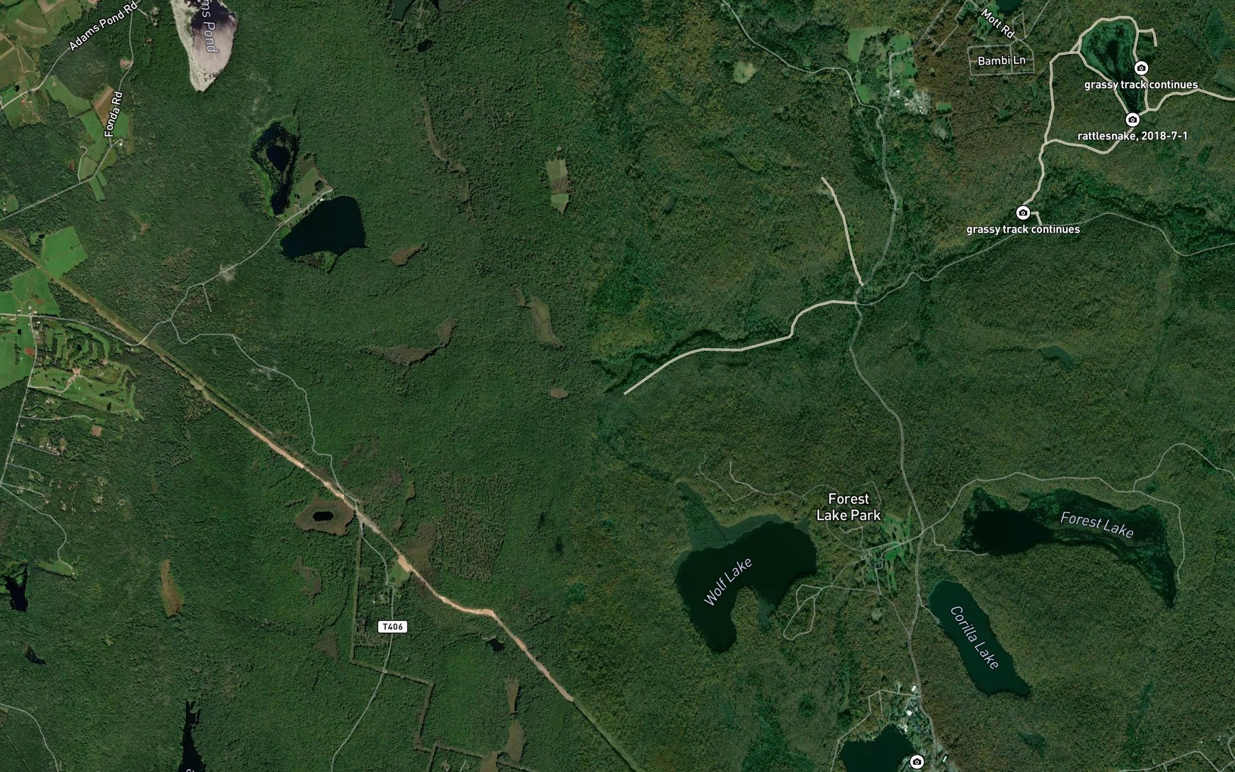 Satellite map of the Wolf Lake Run