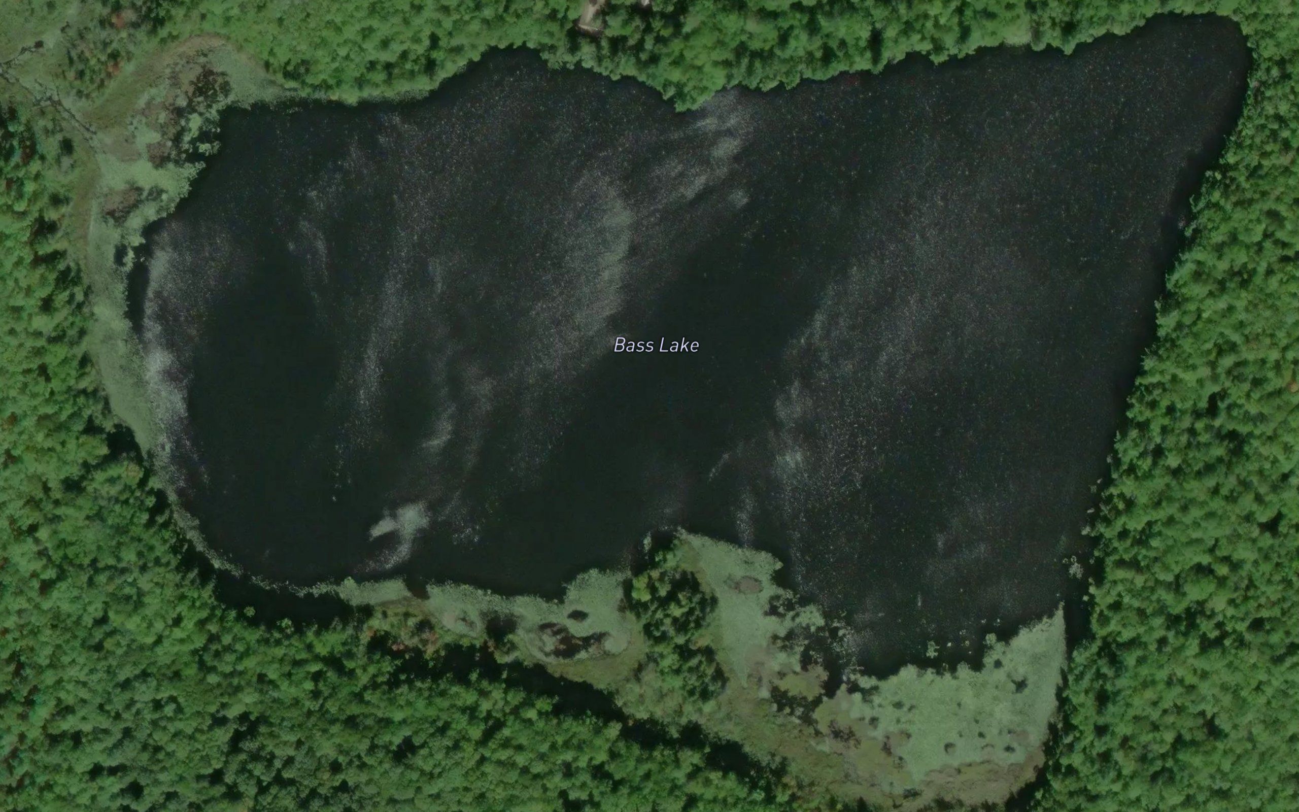 Bass Lake
