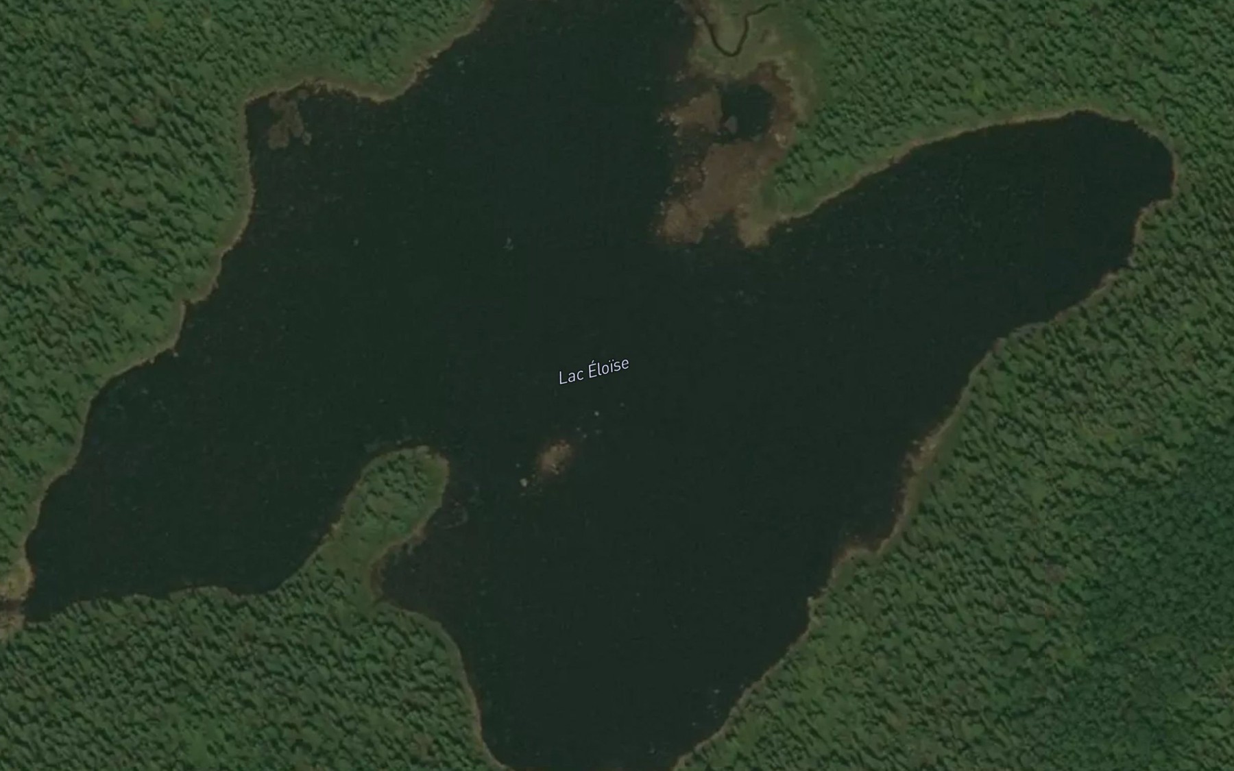 Satellite map of the Lac Eloise