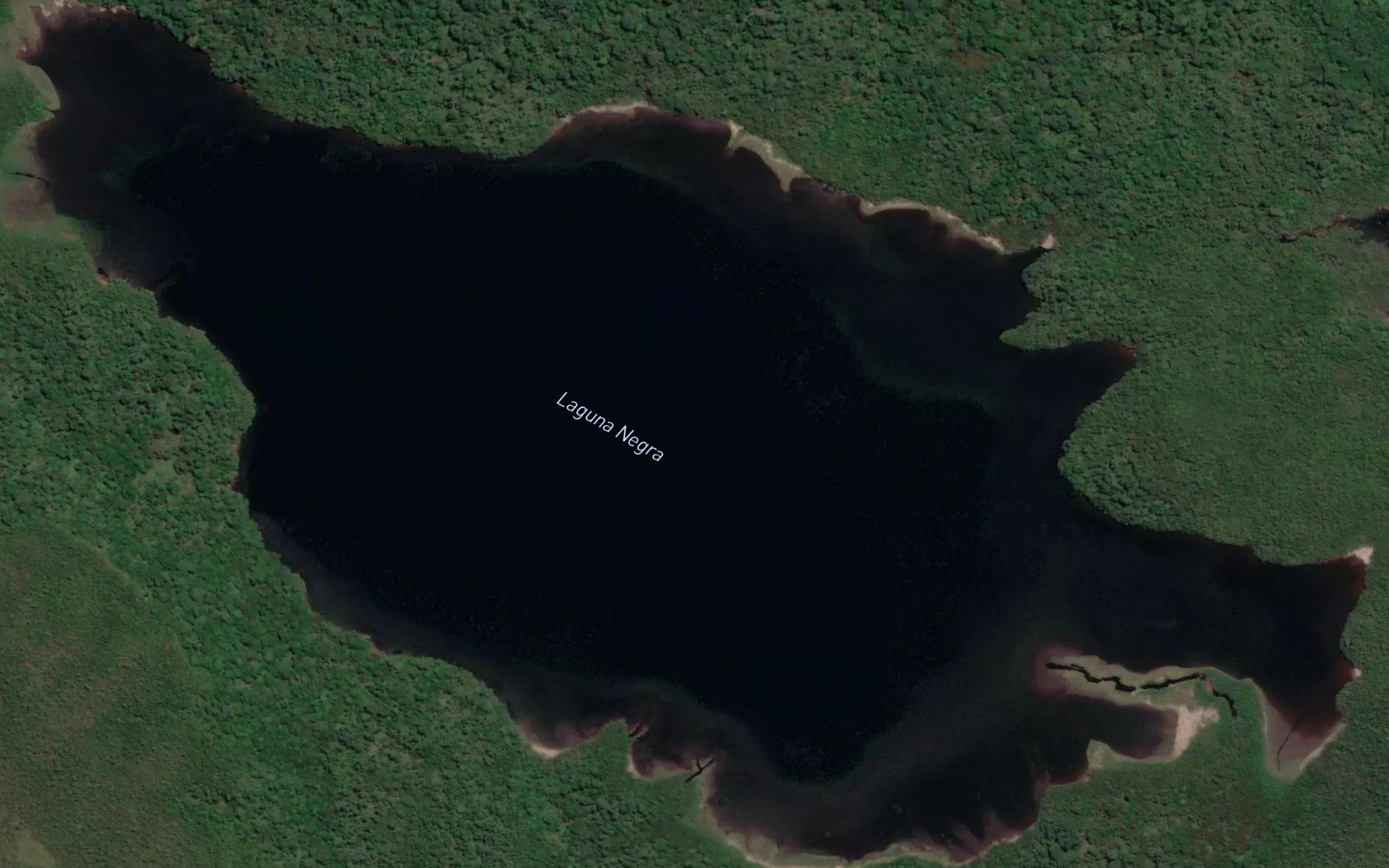 Laguna Negra