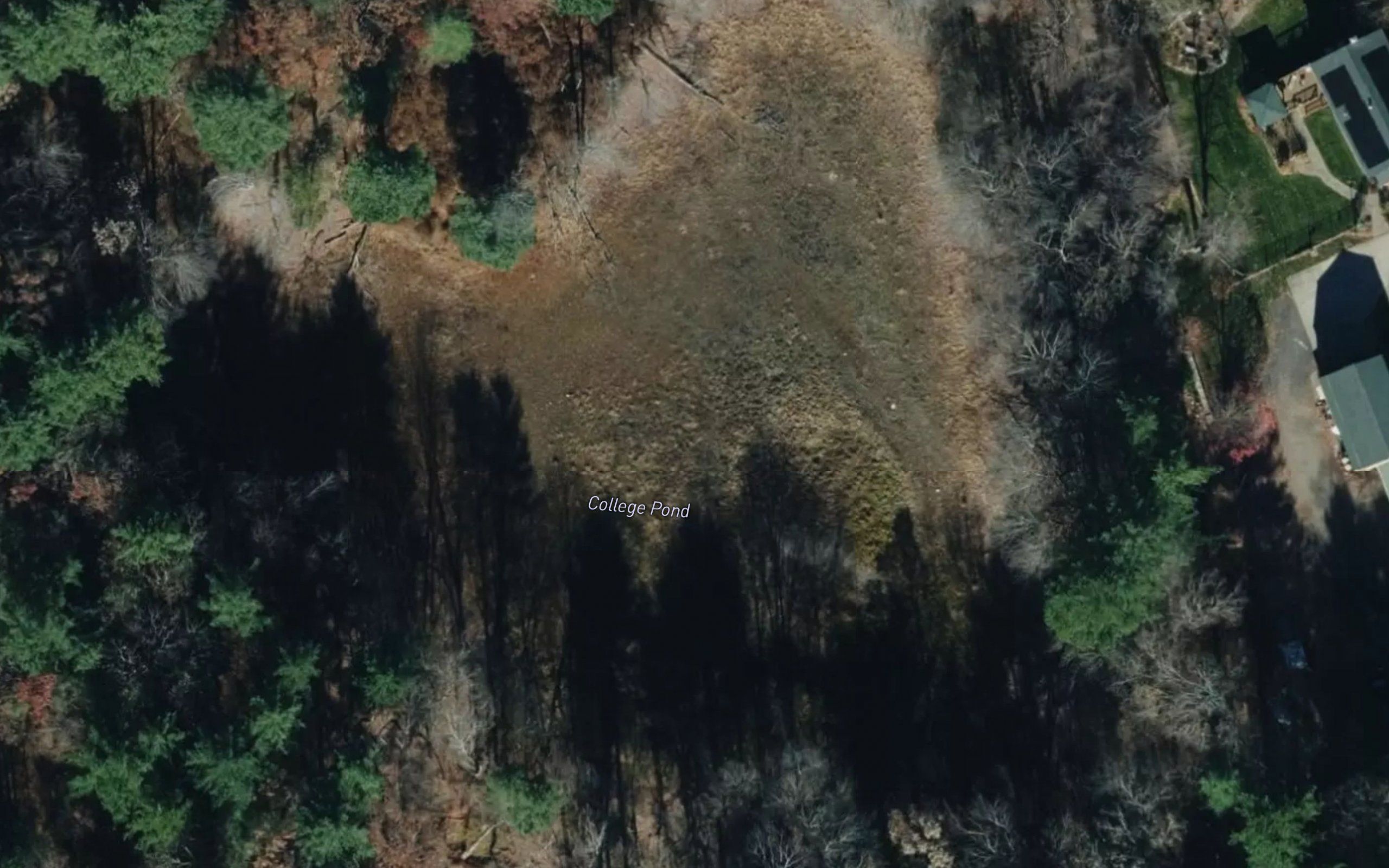College Pond