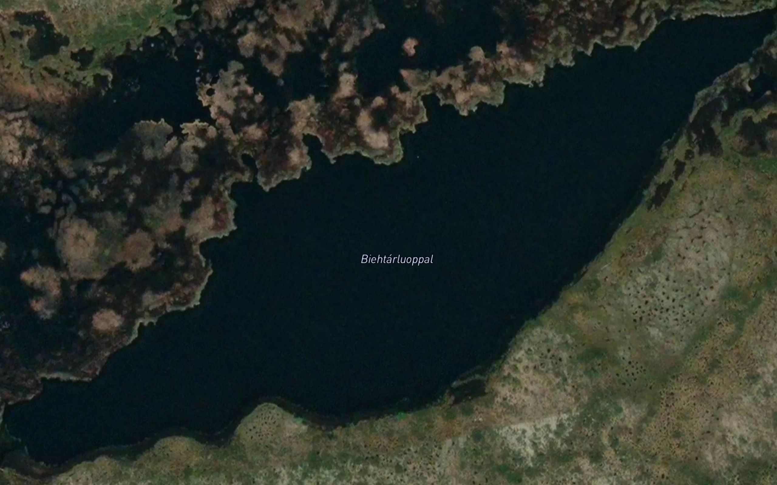 Biettarluobbal