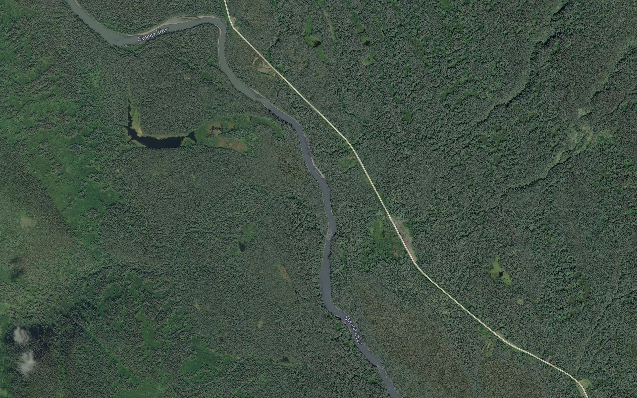 Picea Creek