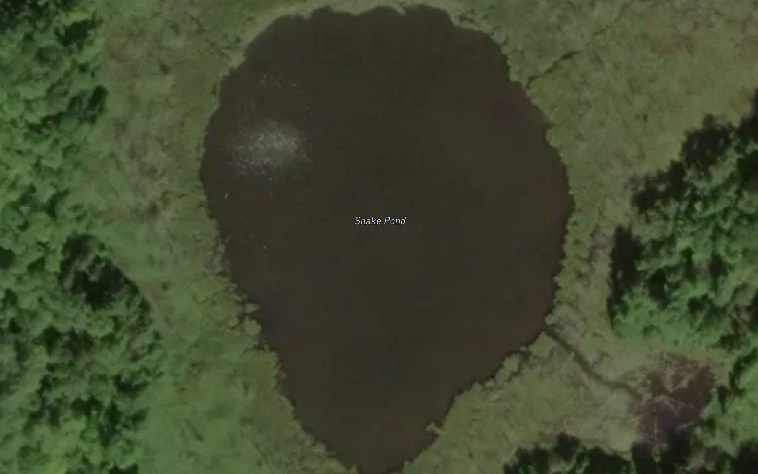 Snake Pond