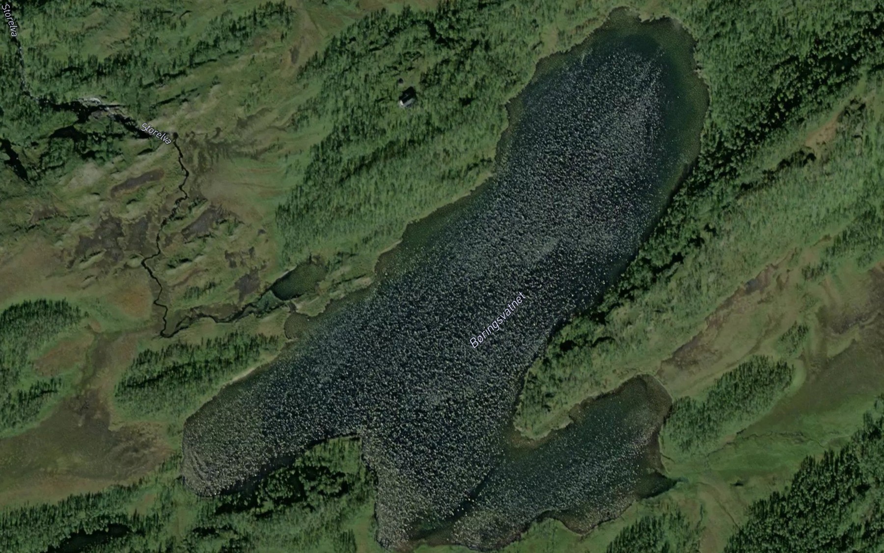 Satellite map of the Boringsvatnet