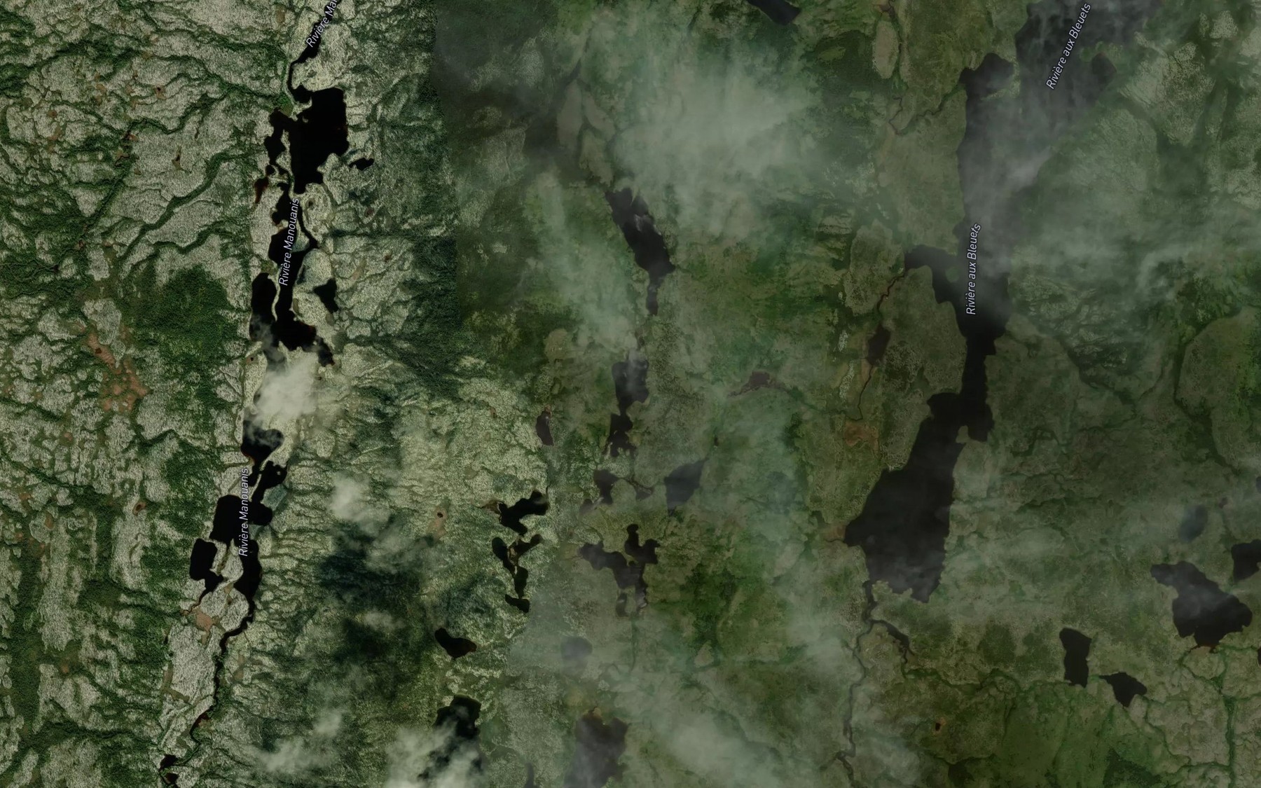 Satellite map of the Lac de la Langue