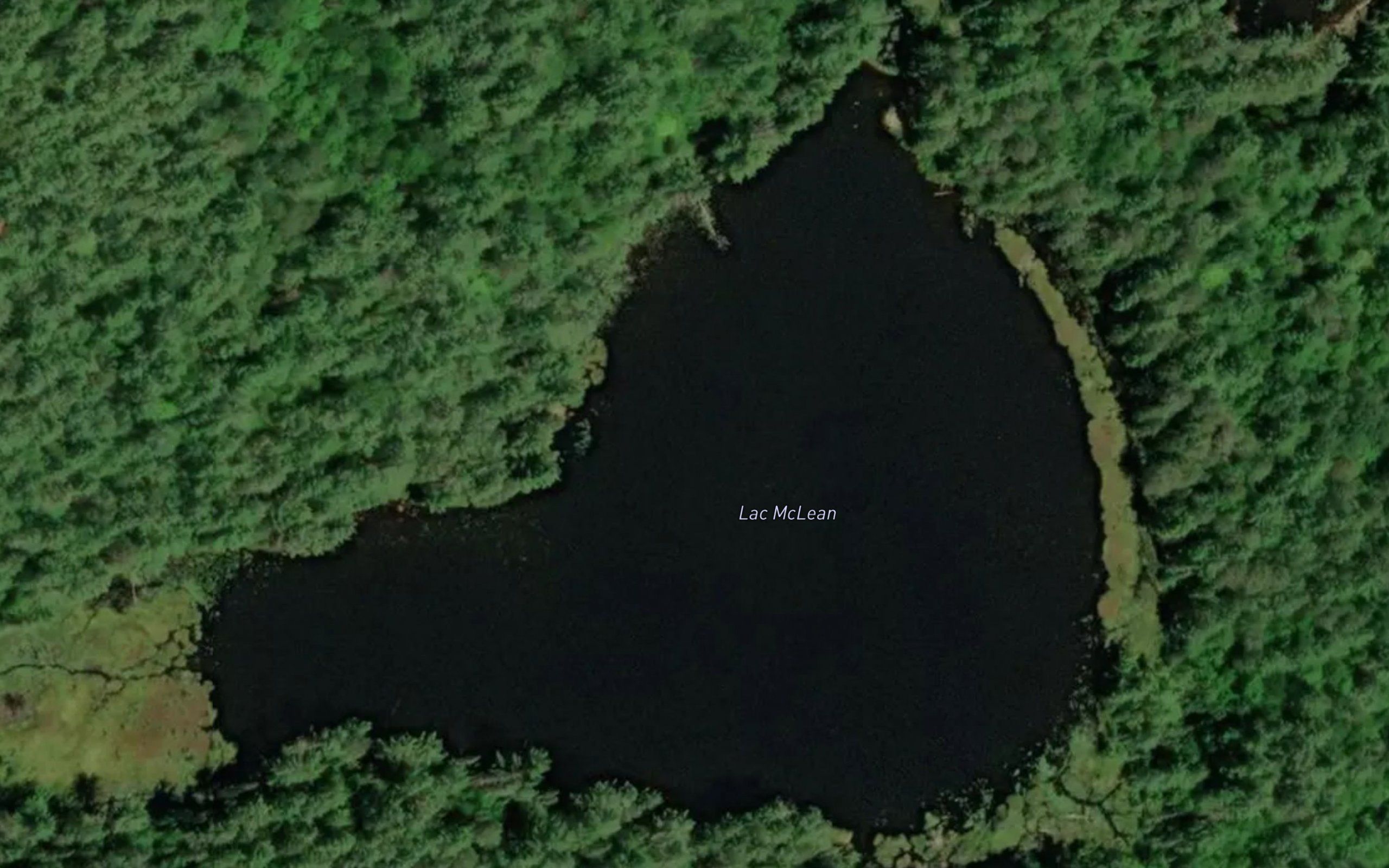 Lac McLean