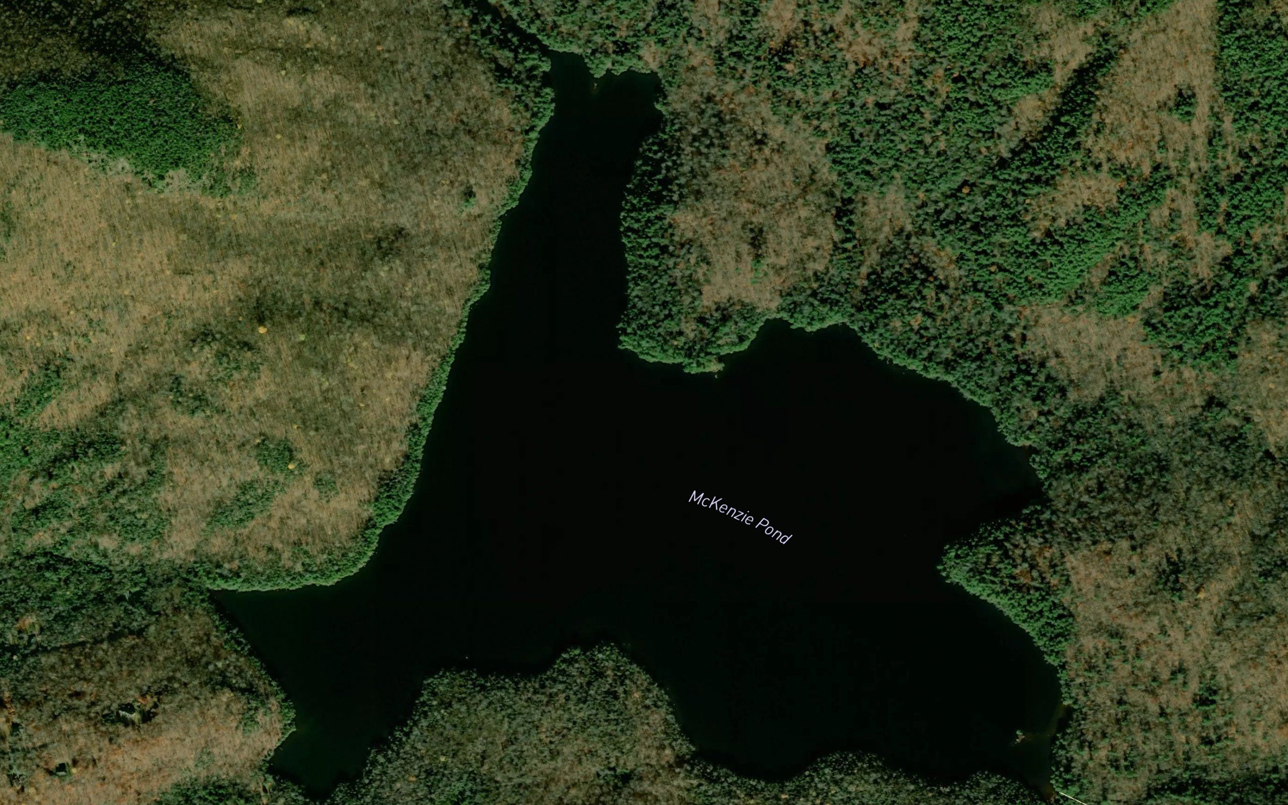 McKenzie Pond