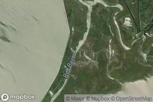 Red Bayou