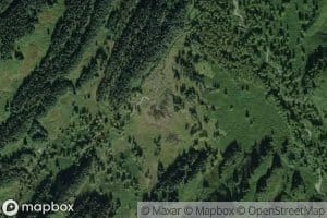 Wrong Branch Trail Creek