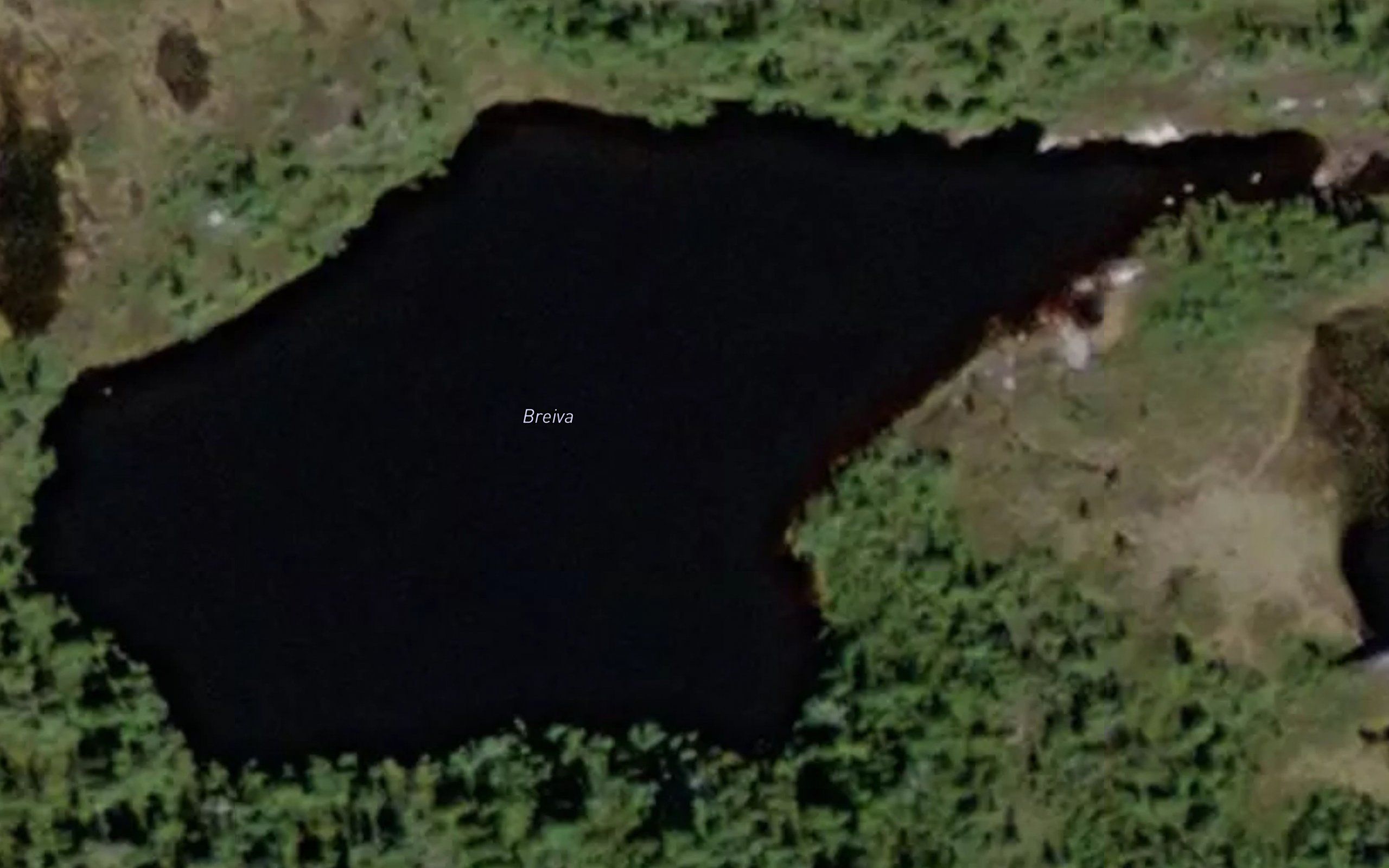 Breiva