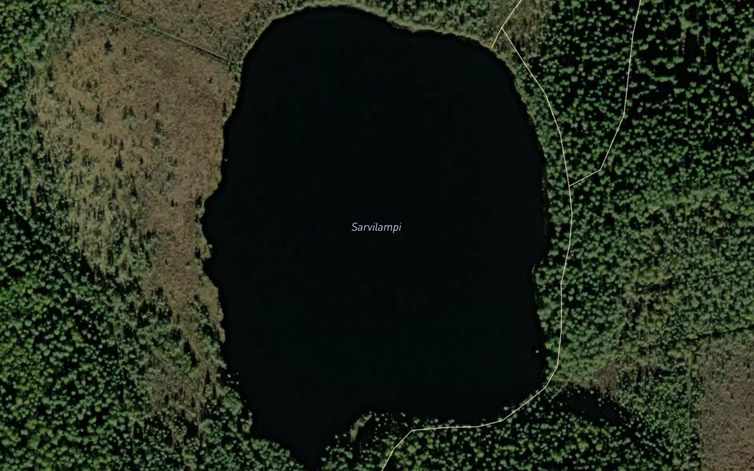 Sarvilampi