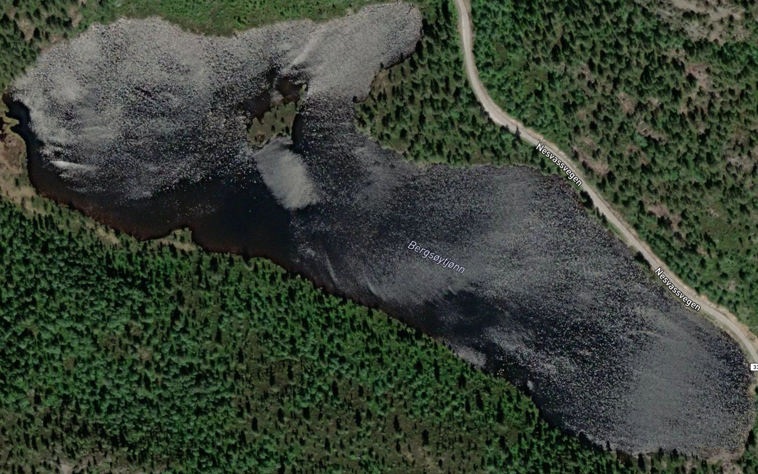 Bergsoytjorn