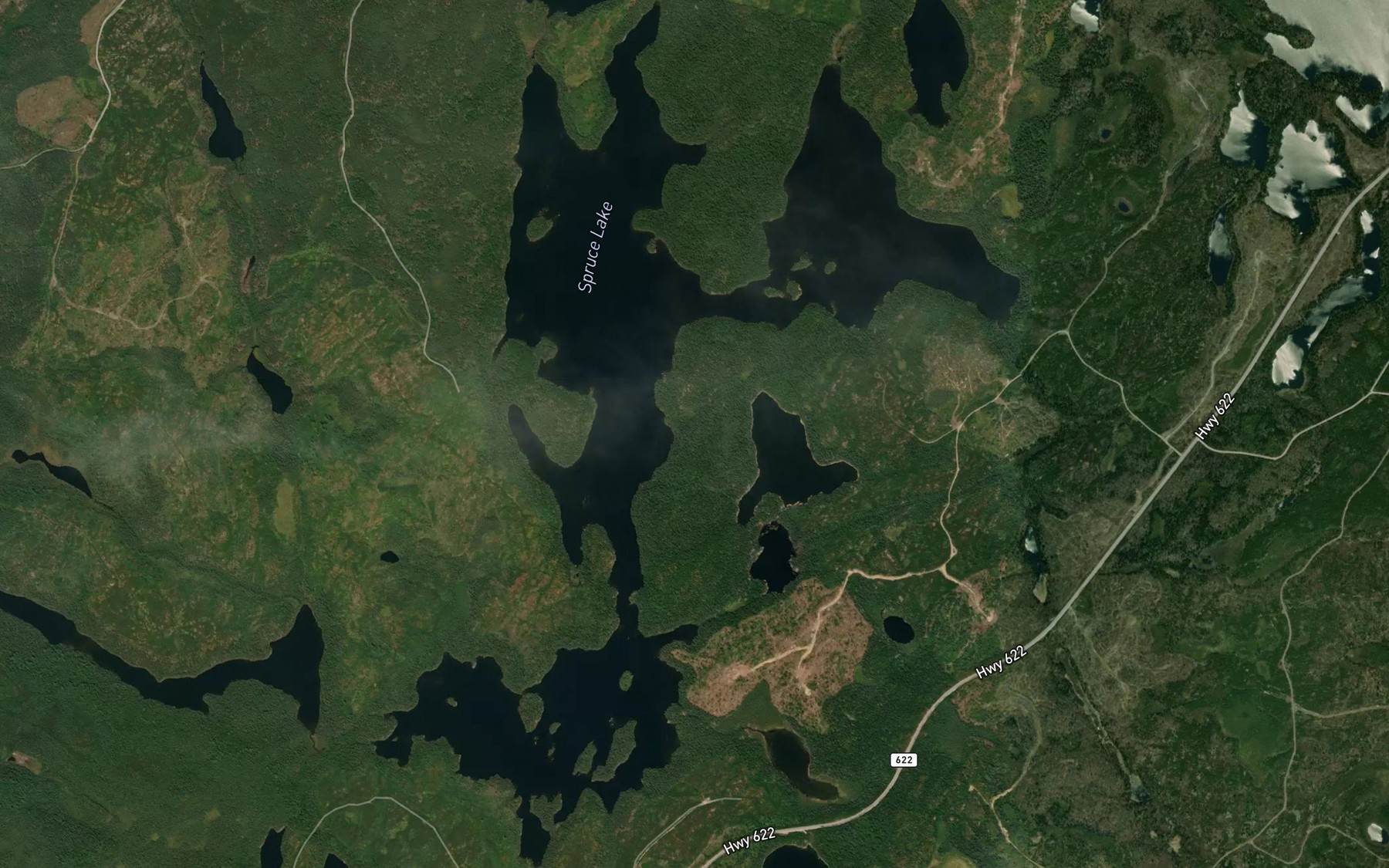 Satellite map of the Spruce Lake