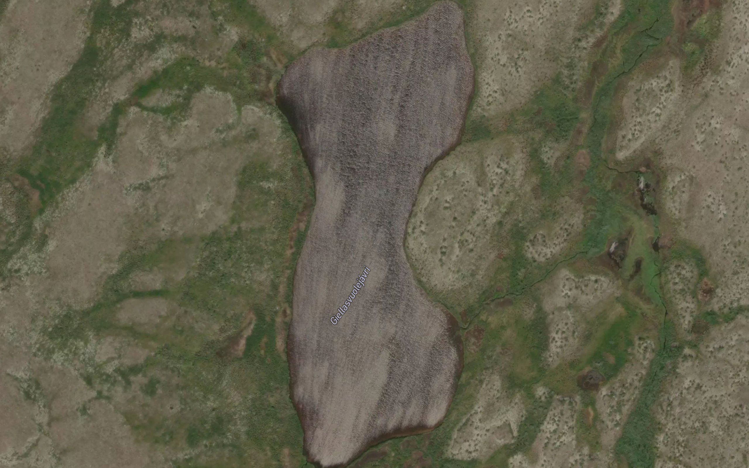 Giellasvuolejavri