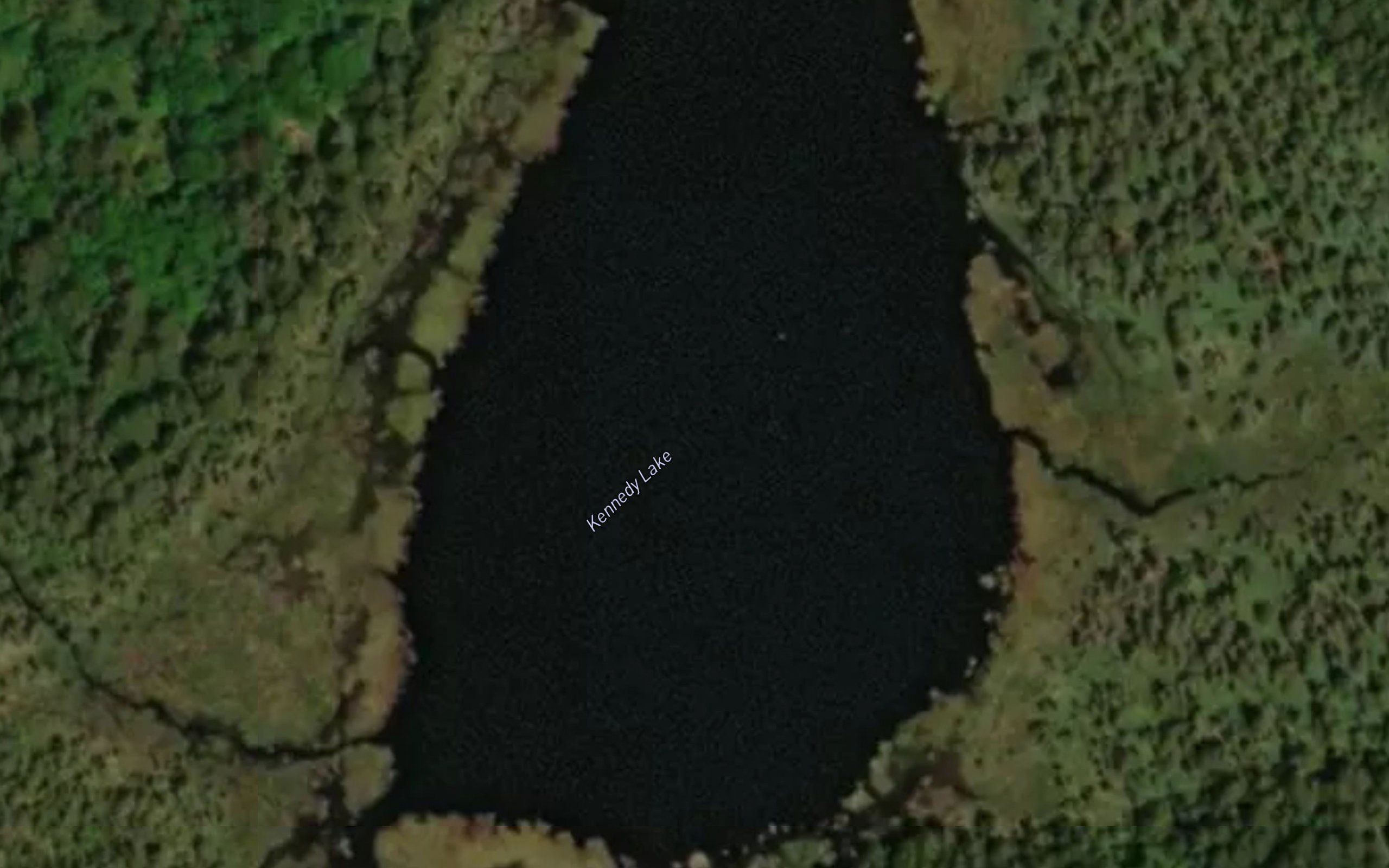 Kennedy Lake