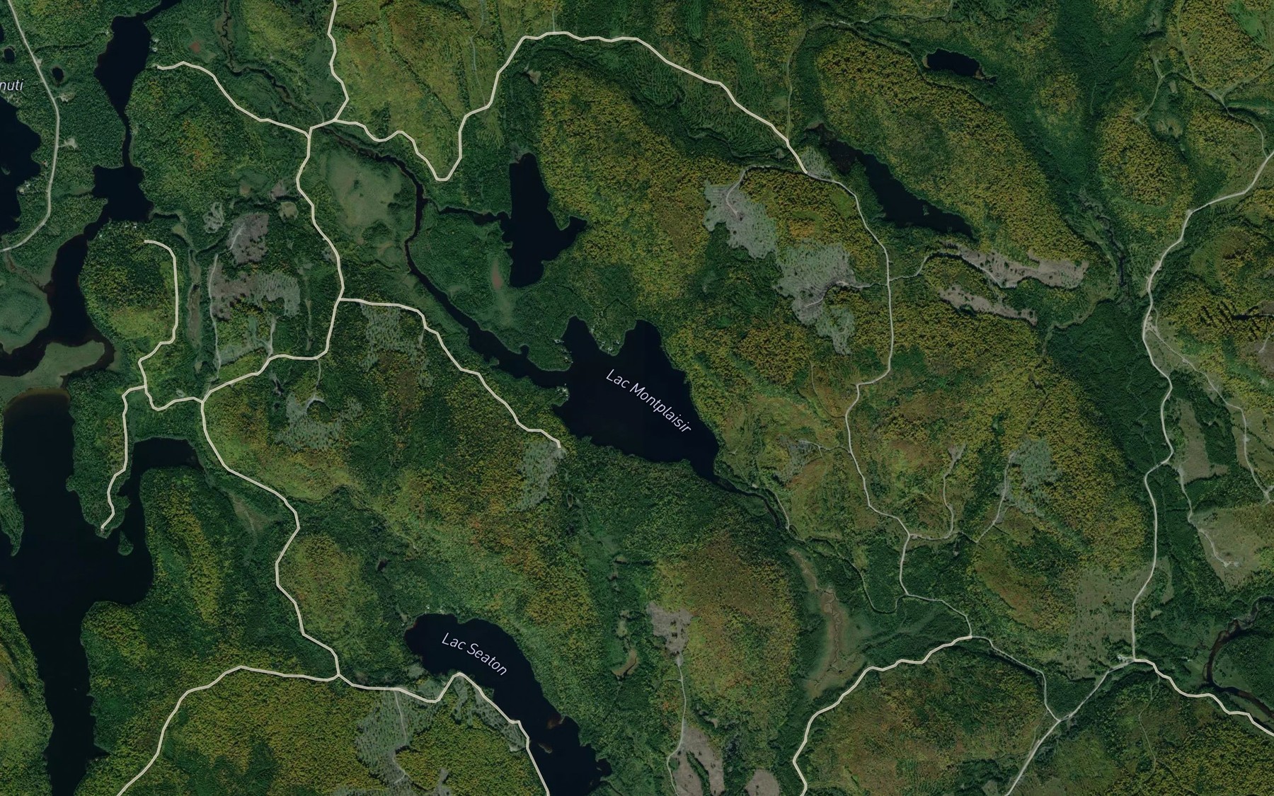 Satellite map of the Lac Montplaisir