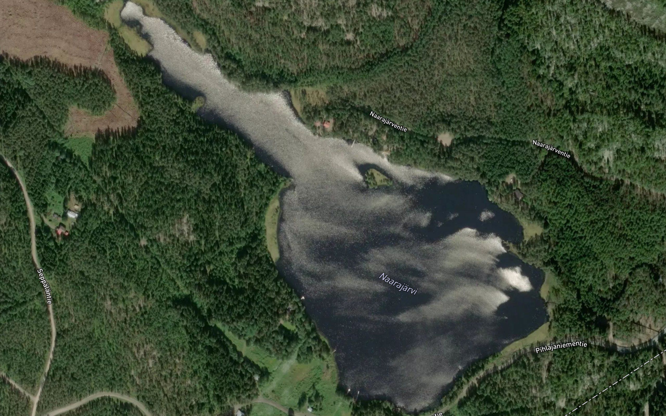 Naarajarvi