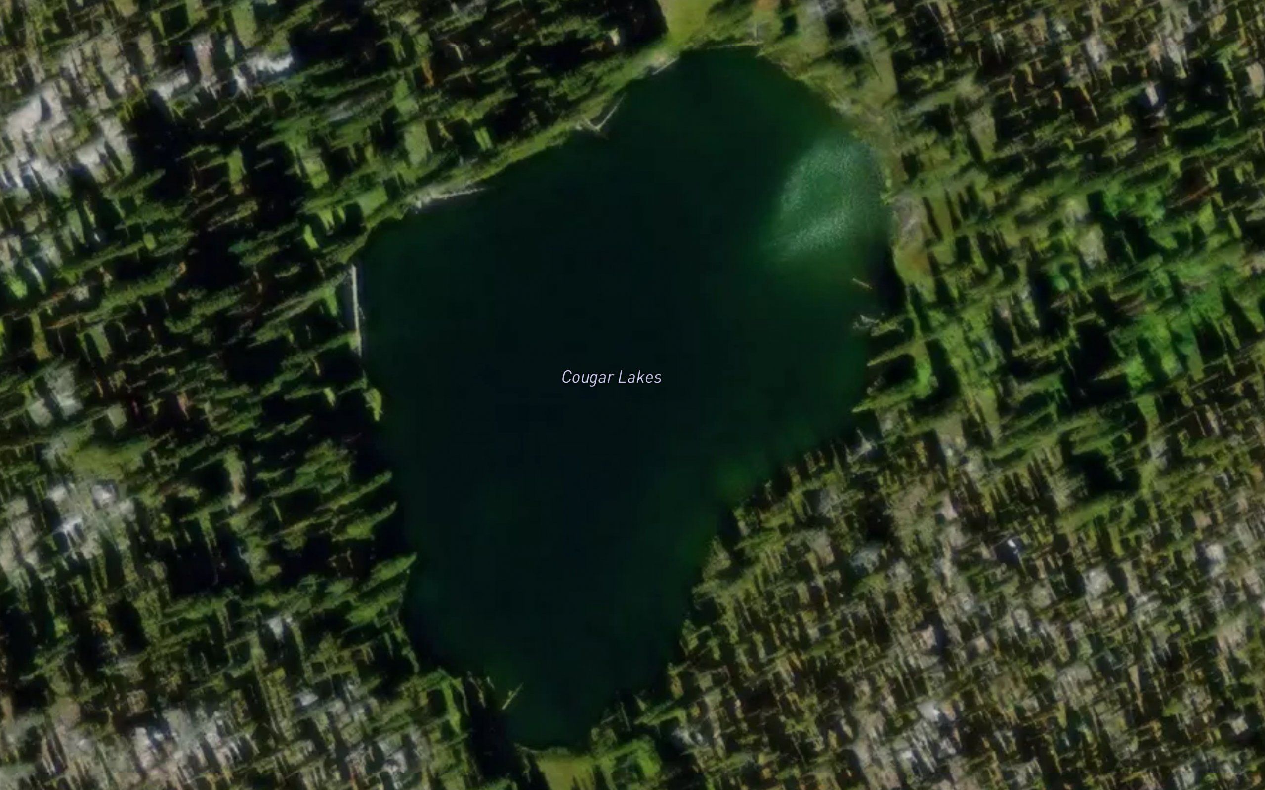 Cougar Lakes